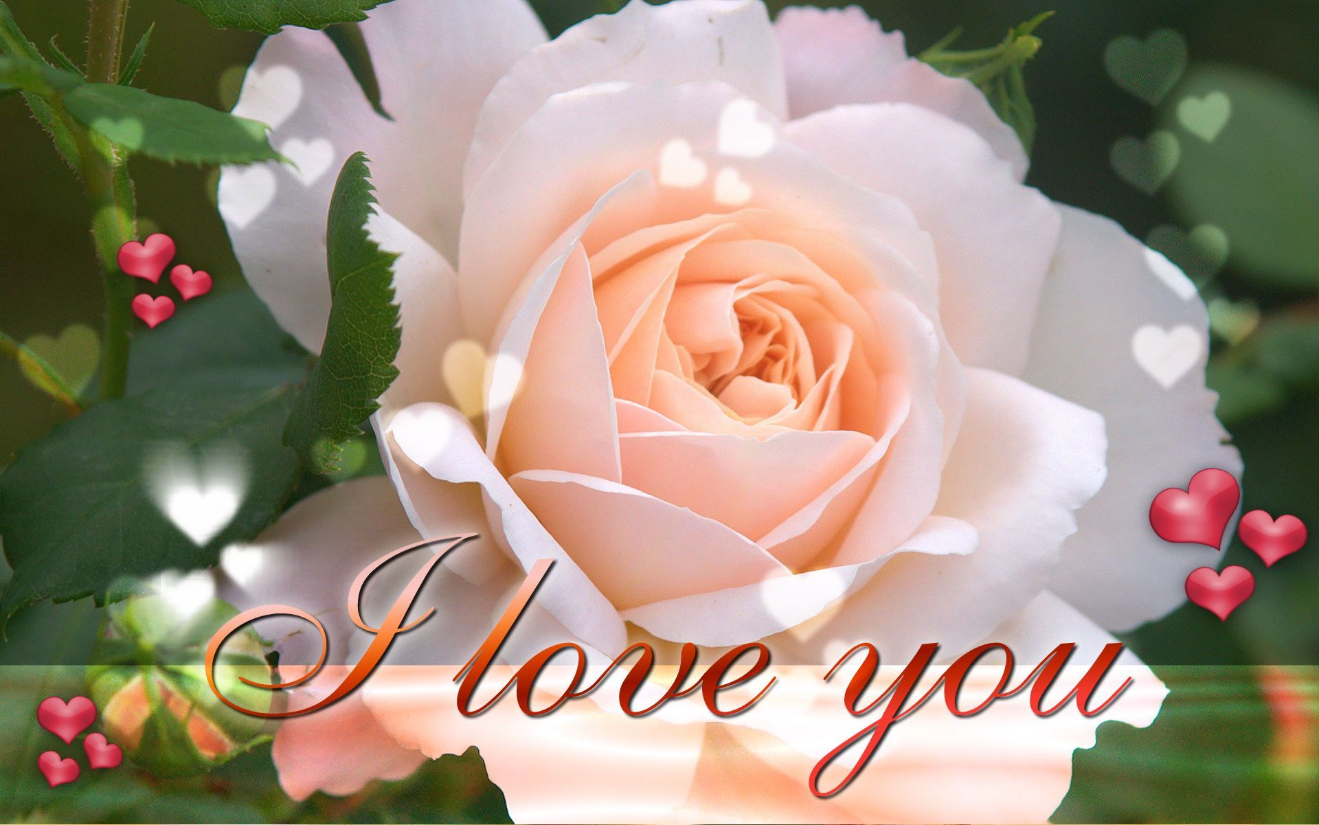 most beautiful i love you images