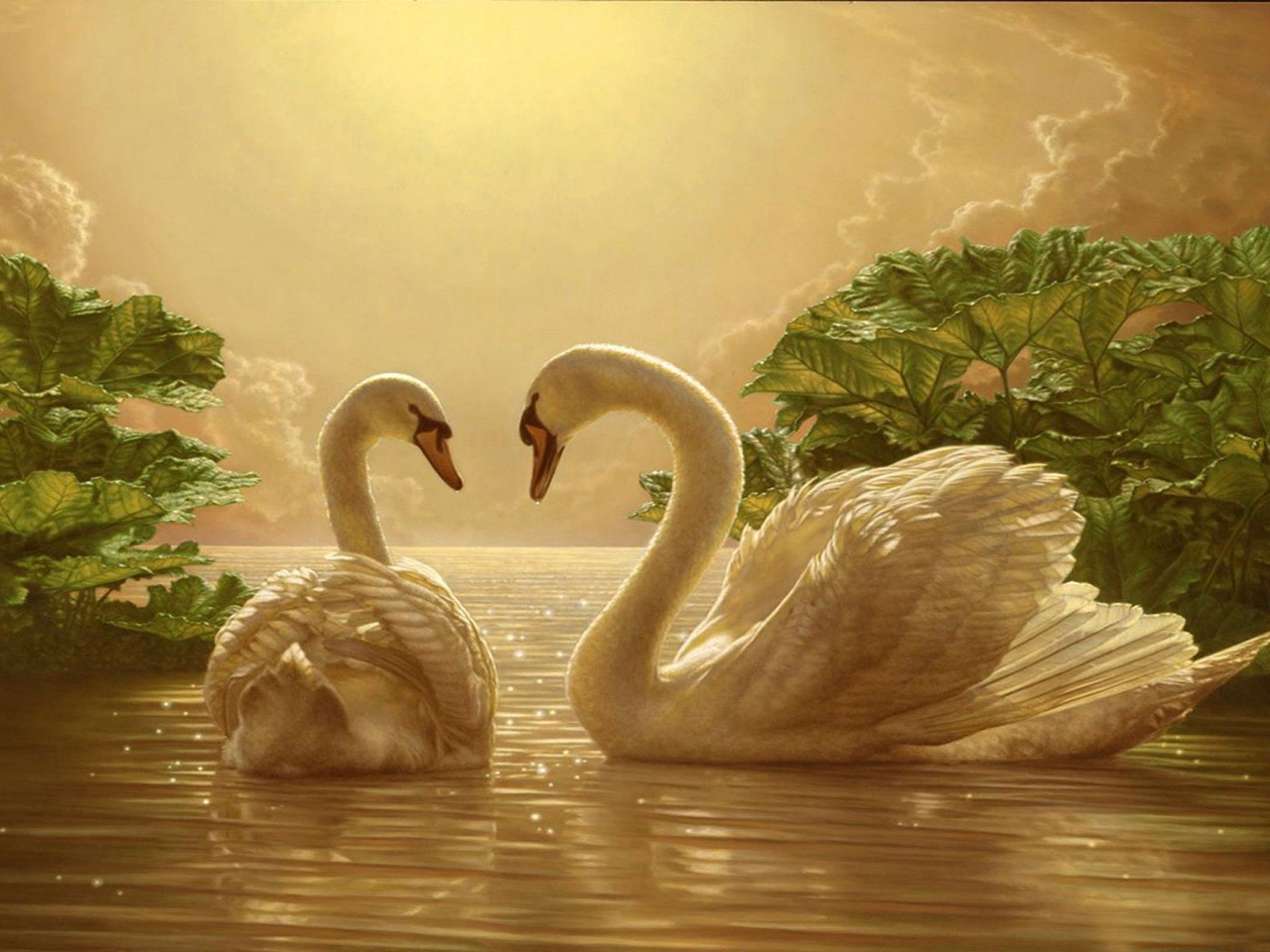 Beautiful Love Swan Two Romance Movie Wallpaper 2880×1800