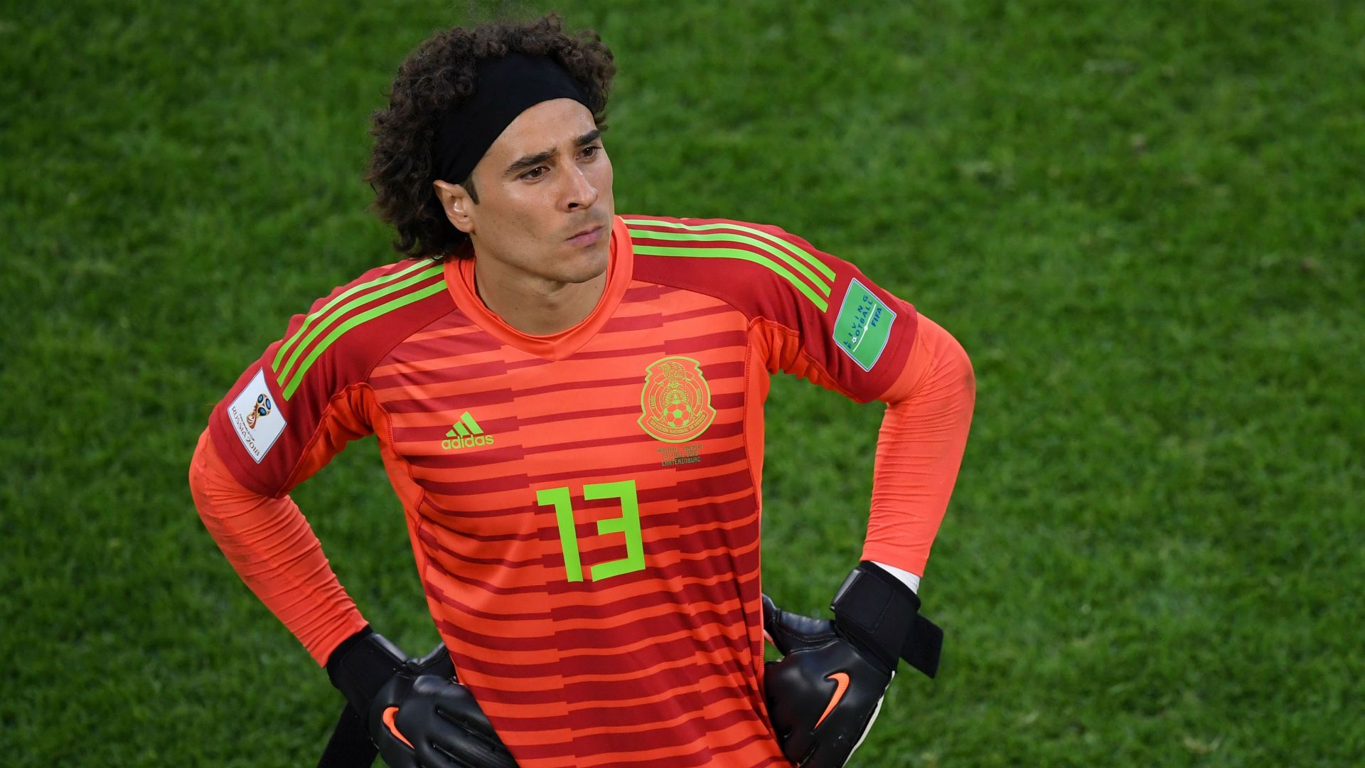 Memo Ochoa Wallpapers - Wallpaper Cave