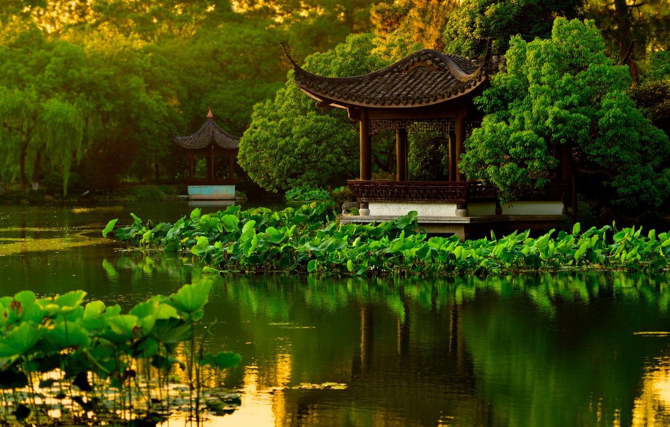 Wallpaper water, trees, pond, Park, garden, China, pagoda, Lotus, Hangzhou, gazebos image for desktop, section пейзажи
