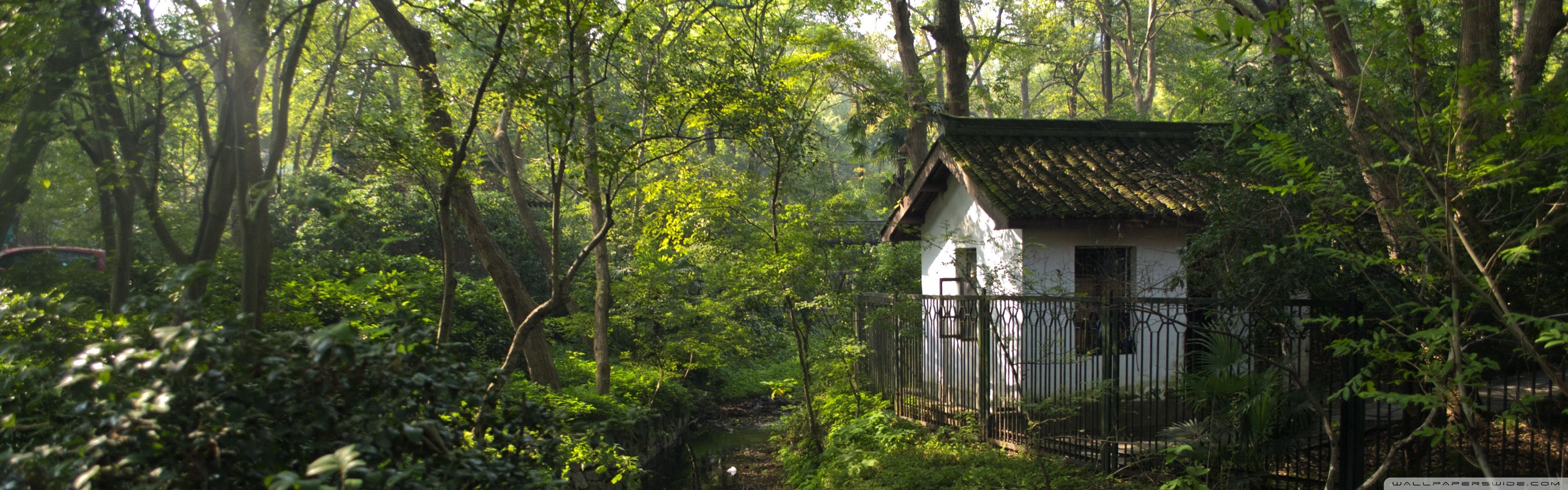 A Little House In Hangzhou Ultra HD Desktop Background Wallpaper