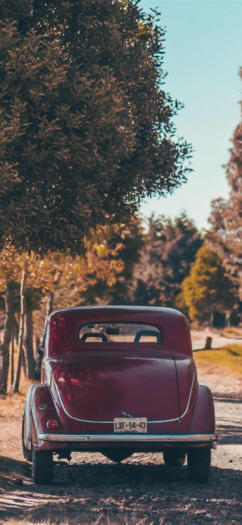 Red Retro Car Rear View, Man, Trees, Autumn 1080x1920 IPhone 8 7 6