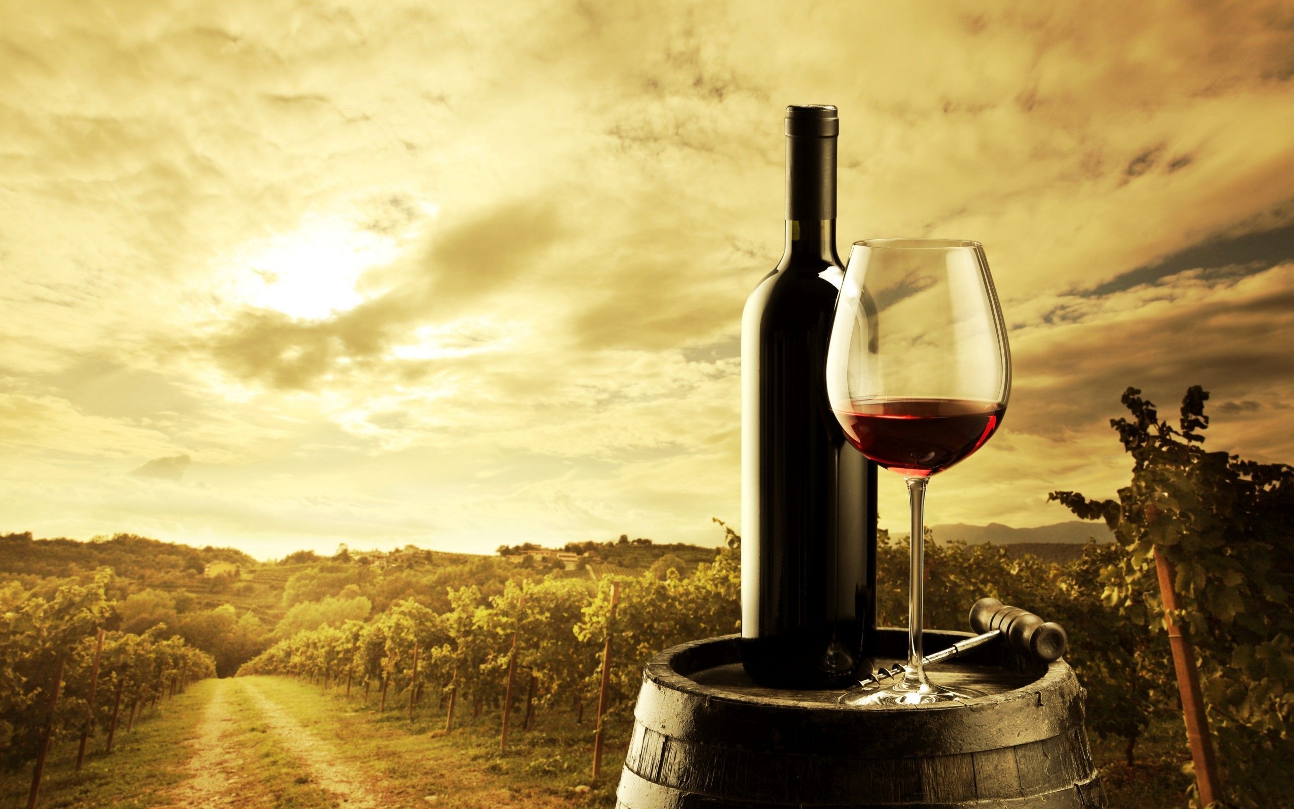 Wide HDQ Wine Wallpaper, BsnSCB