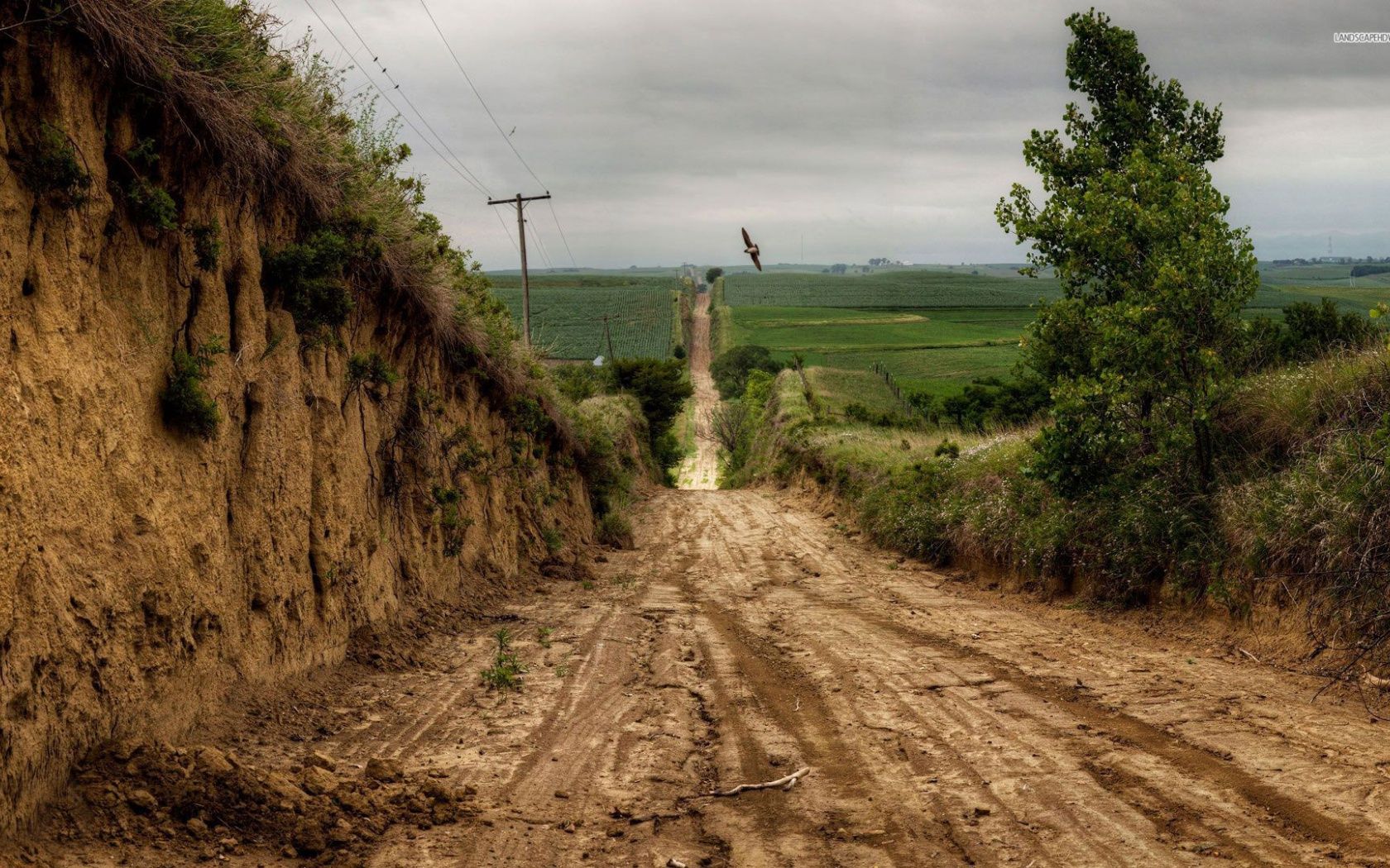 Endless Road Cultivated Field desktop PC and Mac wallpaper