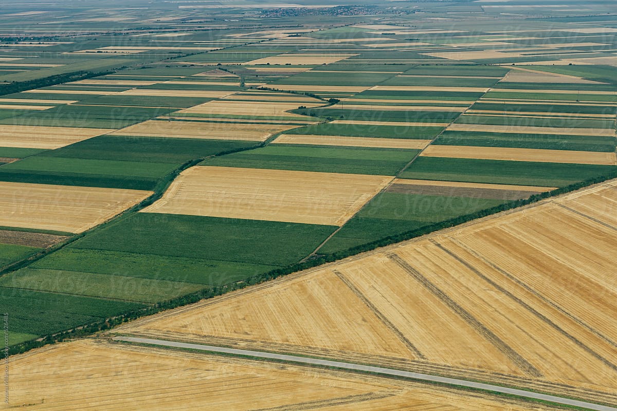 Aerial view of crops, cultivated land of Vojvodina