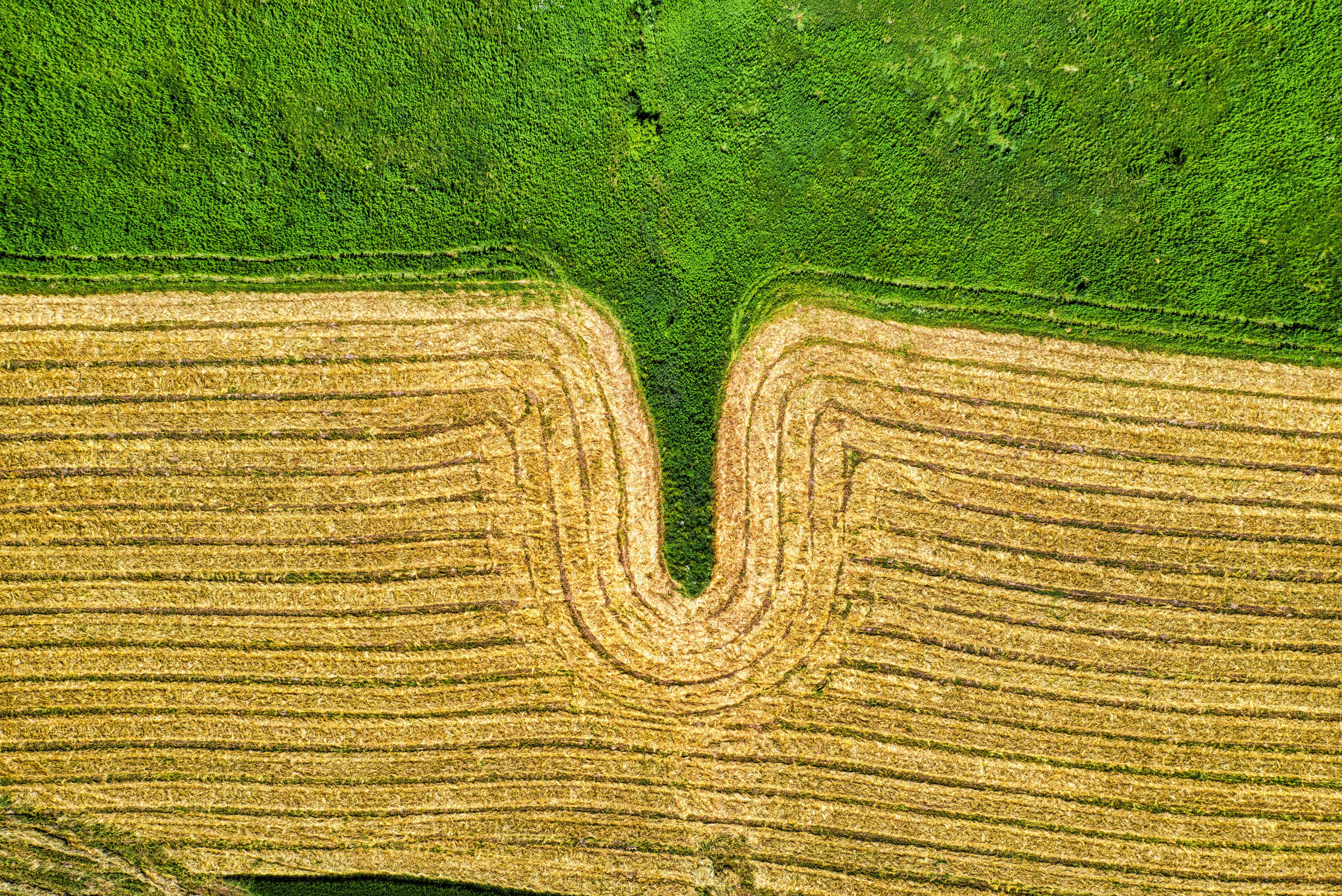 Aerial Photography of Cultivated Land · Free