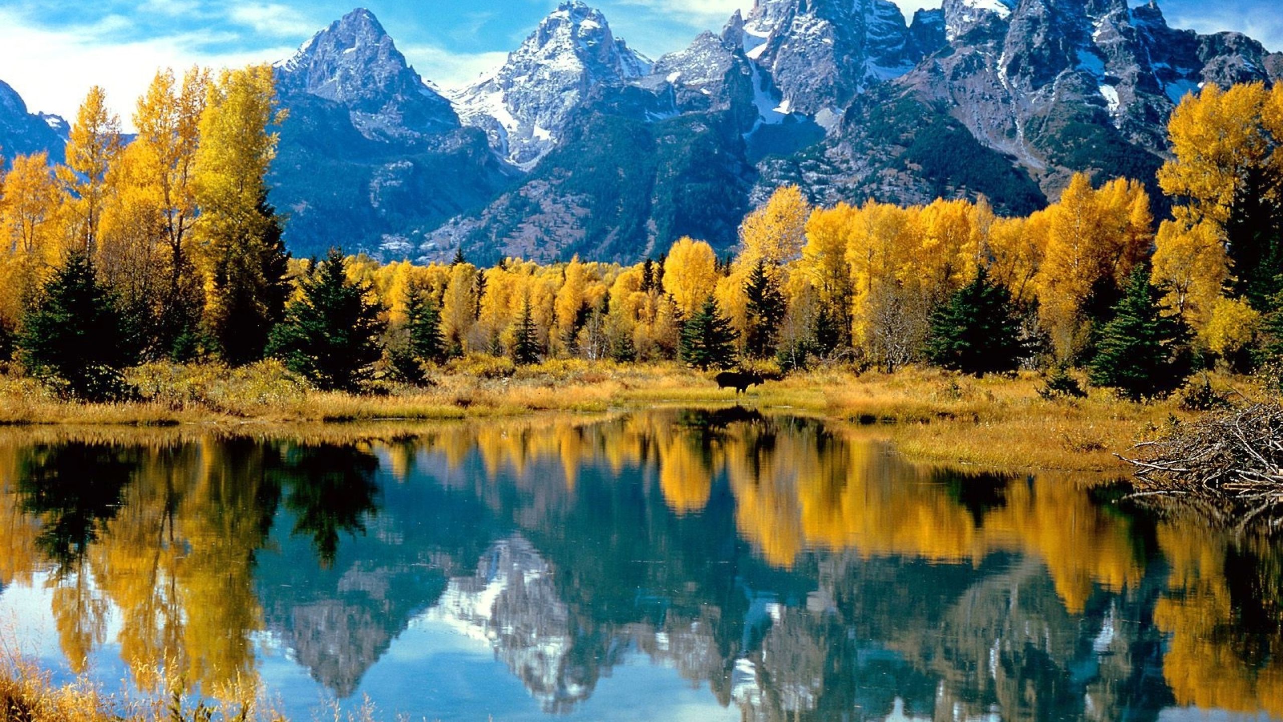 nature, autumn, mountains 1440P Resolution Wallpaper, HD