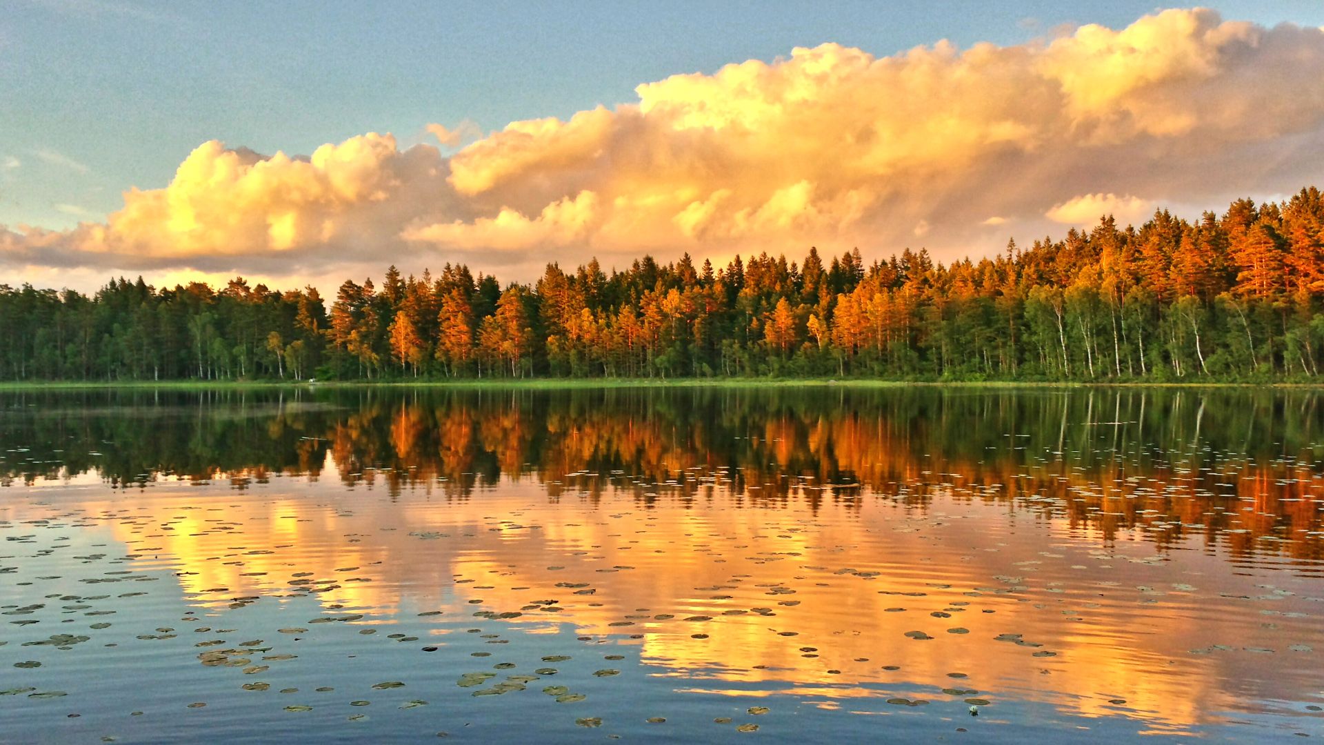Beautiful Autumn Scene Photography in Sweden Wallpaper