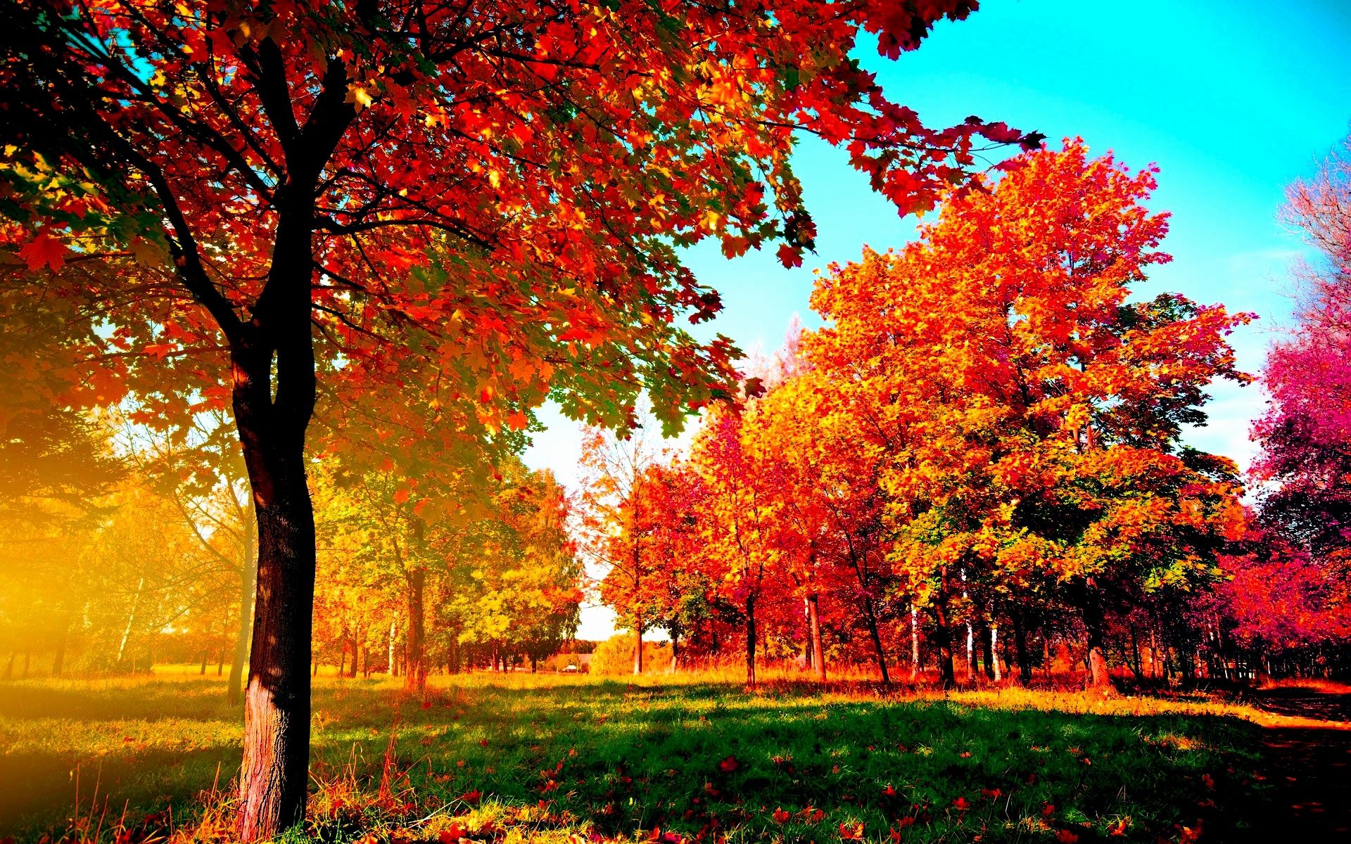 Fall Screensaver Lovely Autumn Wallpaper Examples for Your Desktop