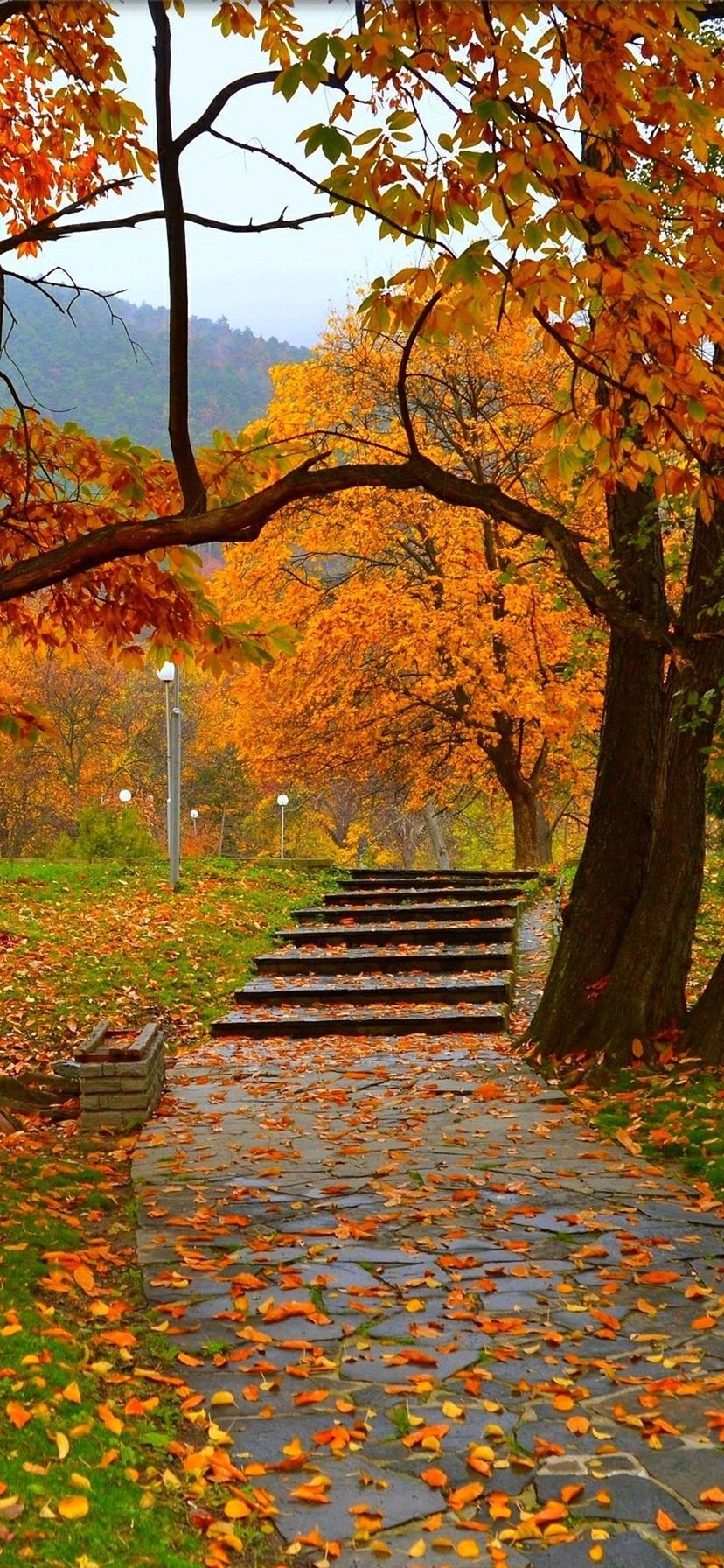 Wallpaper Autumn, trees, park, path, lamps 2880x1800 HD Picture, Image