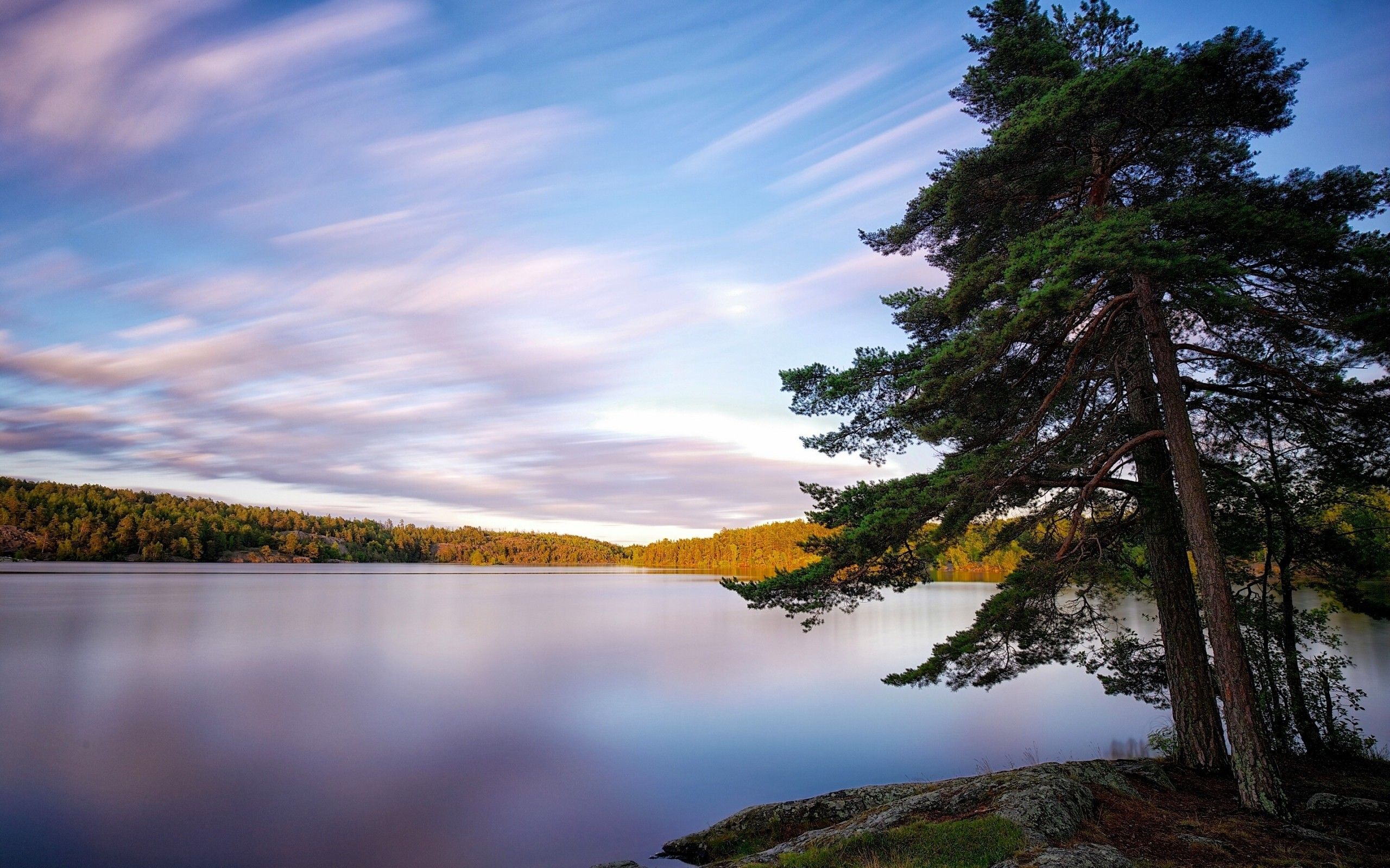 Download 2560x1600 Lake, Tree, Reflection, Sweden, Autumn, Trees
