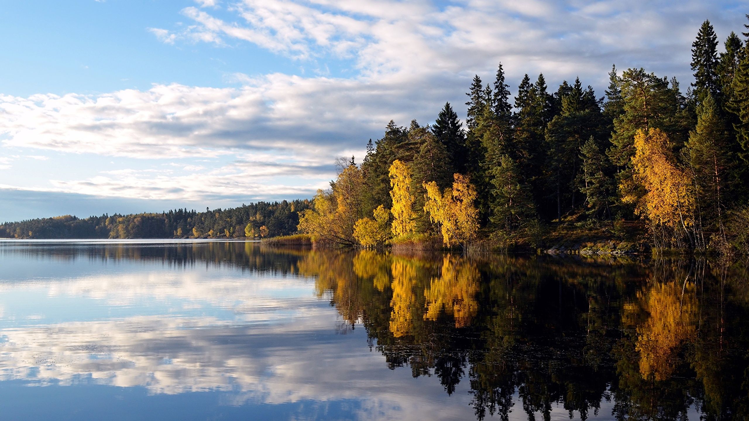 Image Sweden Flaten lake Nature Autumn Lake Forests Trees 2560x1440