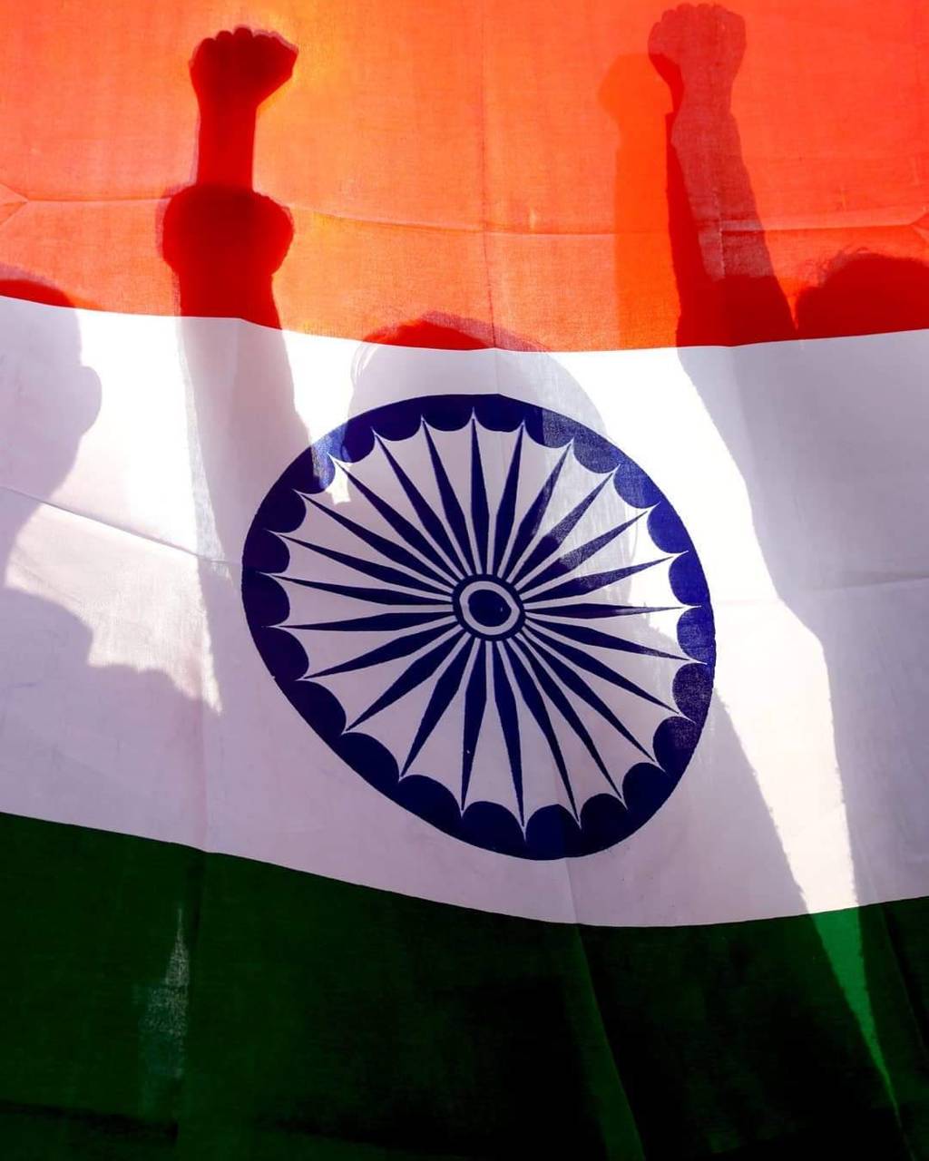 Indian Flag wallpaper