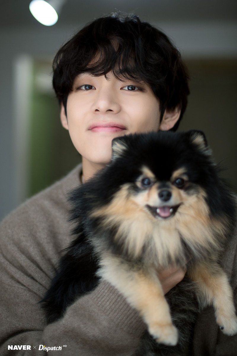 BTS's V and his dog Yeontan Birthday photohoot