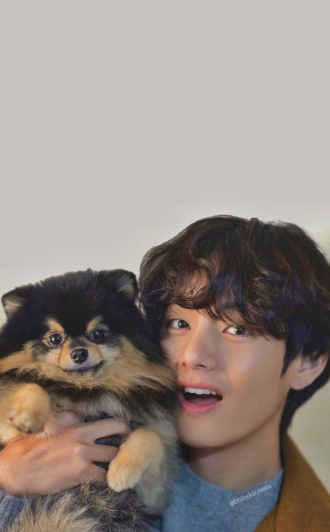 what kind of dog does v from bts have