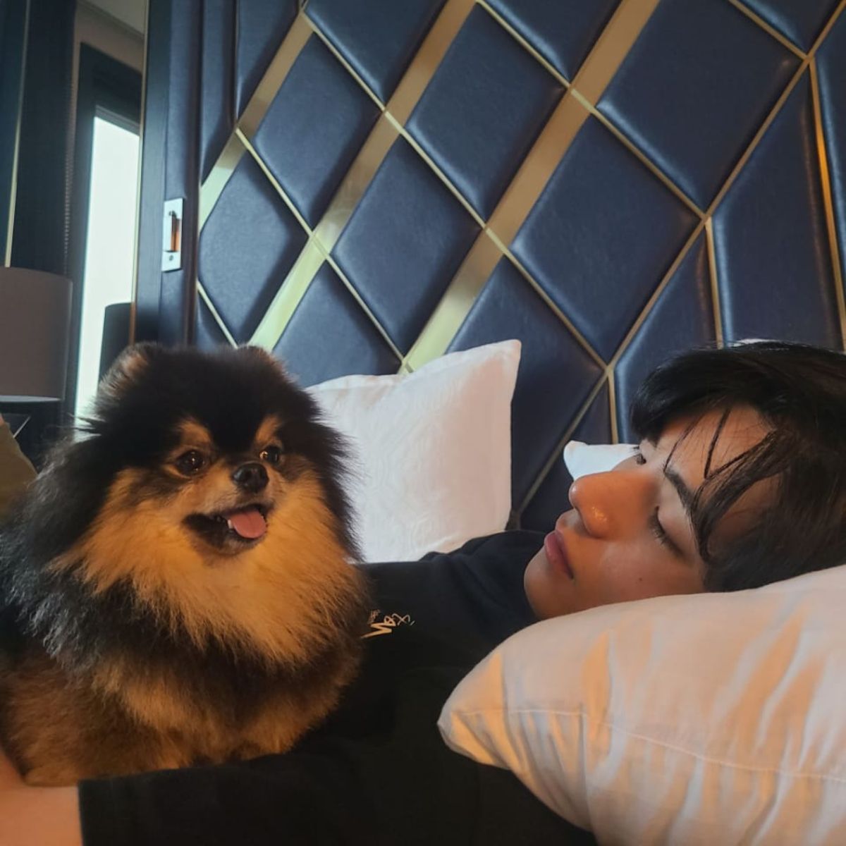 BTS: V spends Friday in bed with his dog while sharing a cute