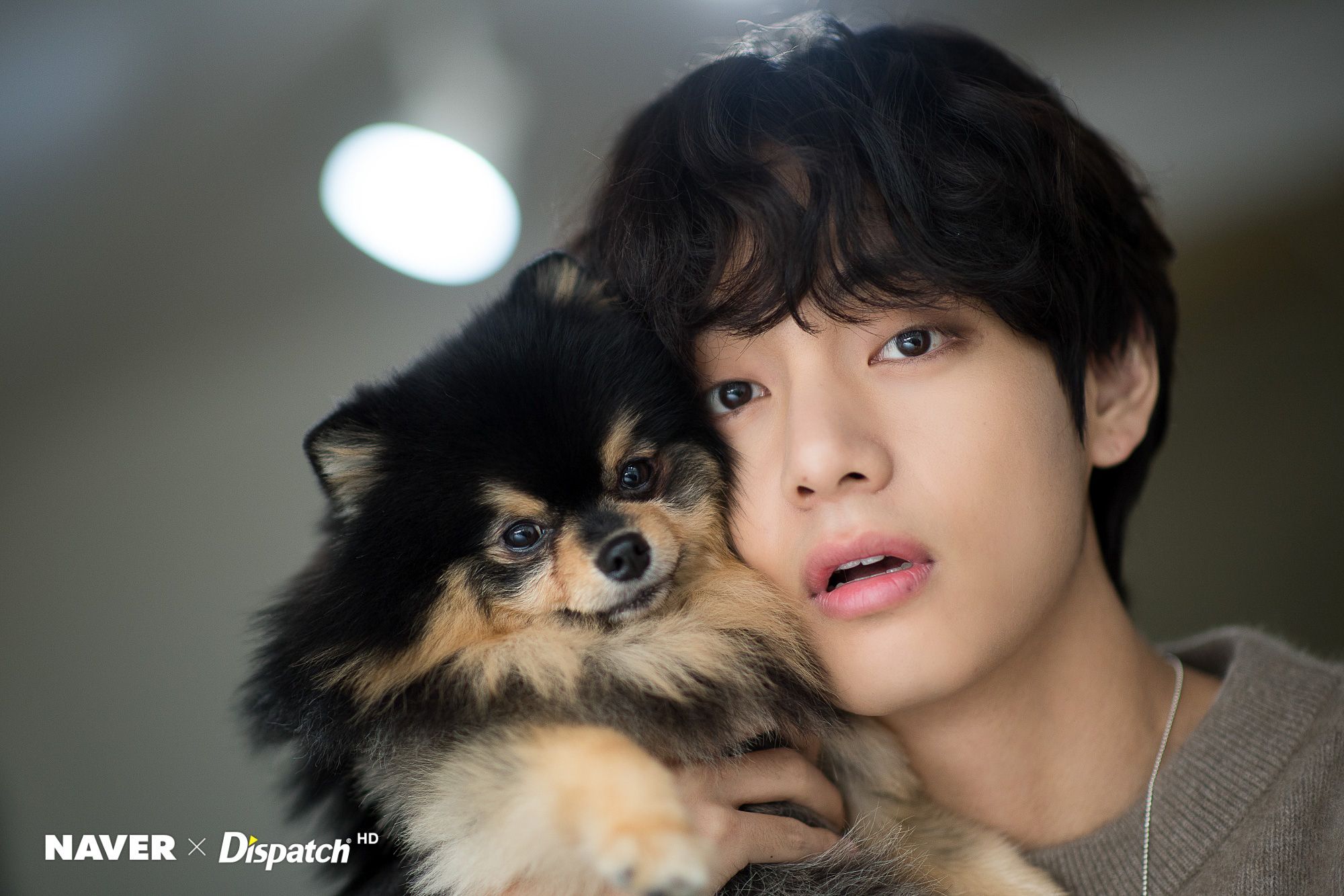 BTS's V and his dog Yeontan Birthday photohoot