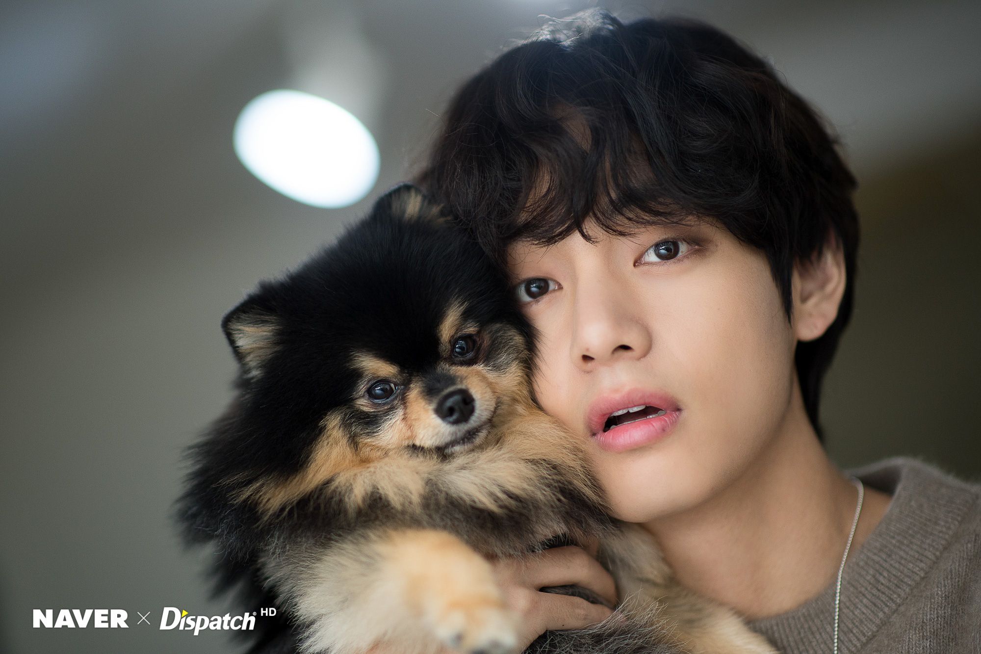 Taehyung And His Dog Wallpapers - Wallpaper Cave