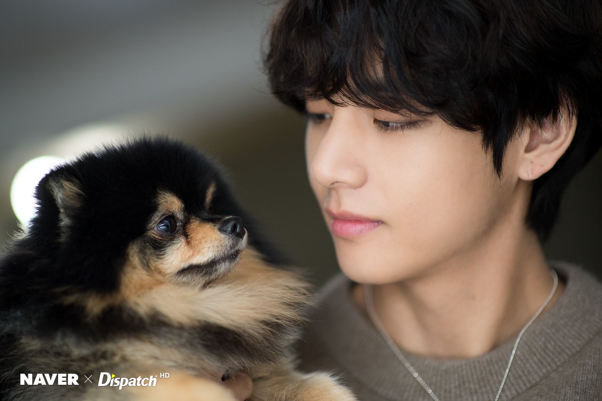 BTS's V and his dog Yeontan Birthday photohoot