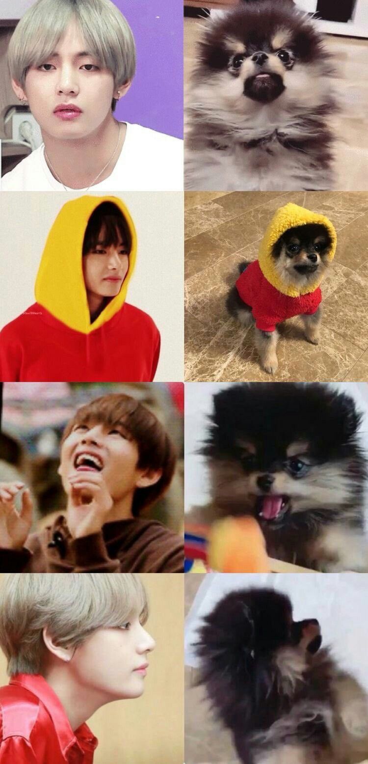 K Pop Wallpaper Taehyung And Yeontan