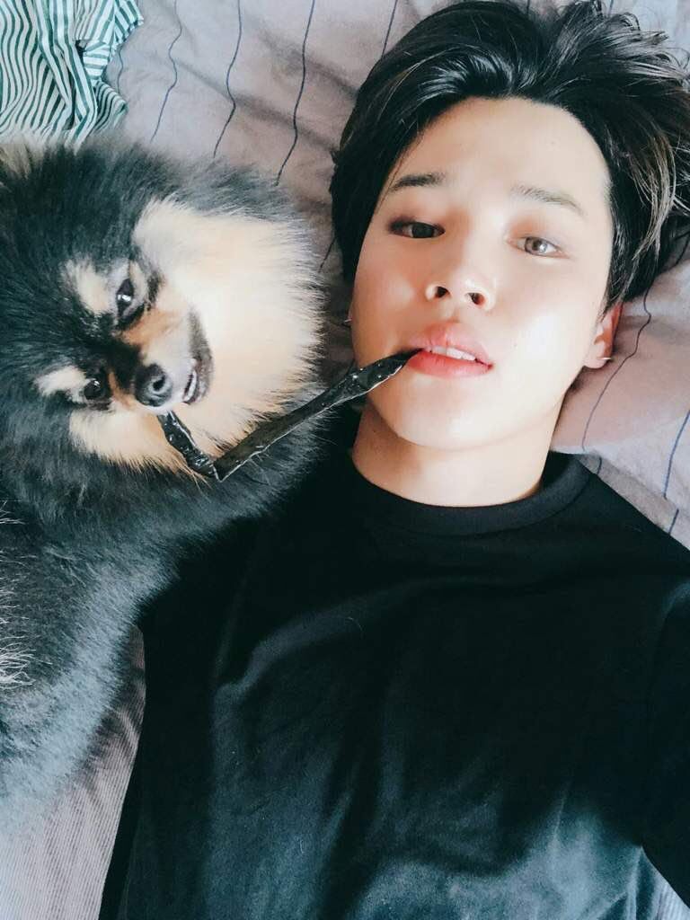 BTS's V Just Confirmed That His Dog, Yeontan, Is The Real Star