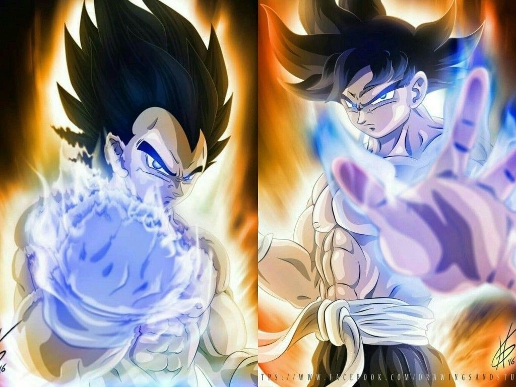 Ultra Instinct Goku And Vegeta