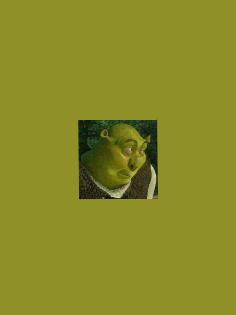 Baddie Shrek Shrek Meme HD phone wallpaper  Peakpx