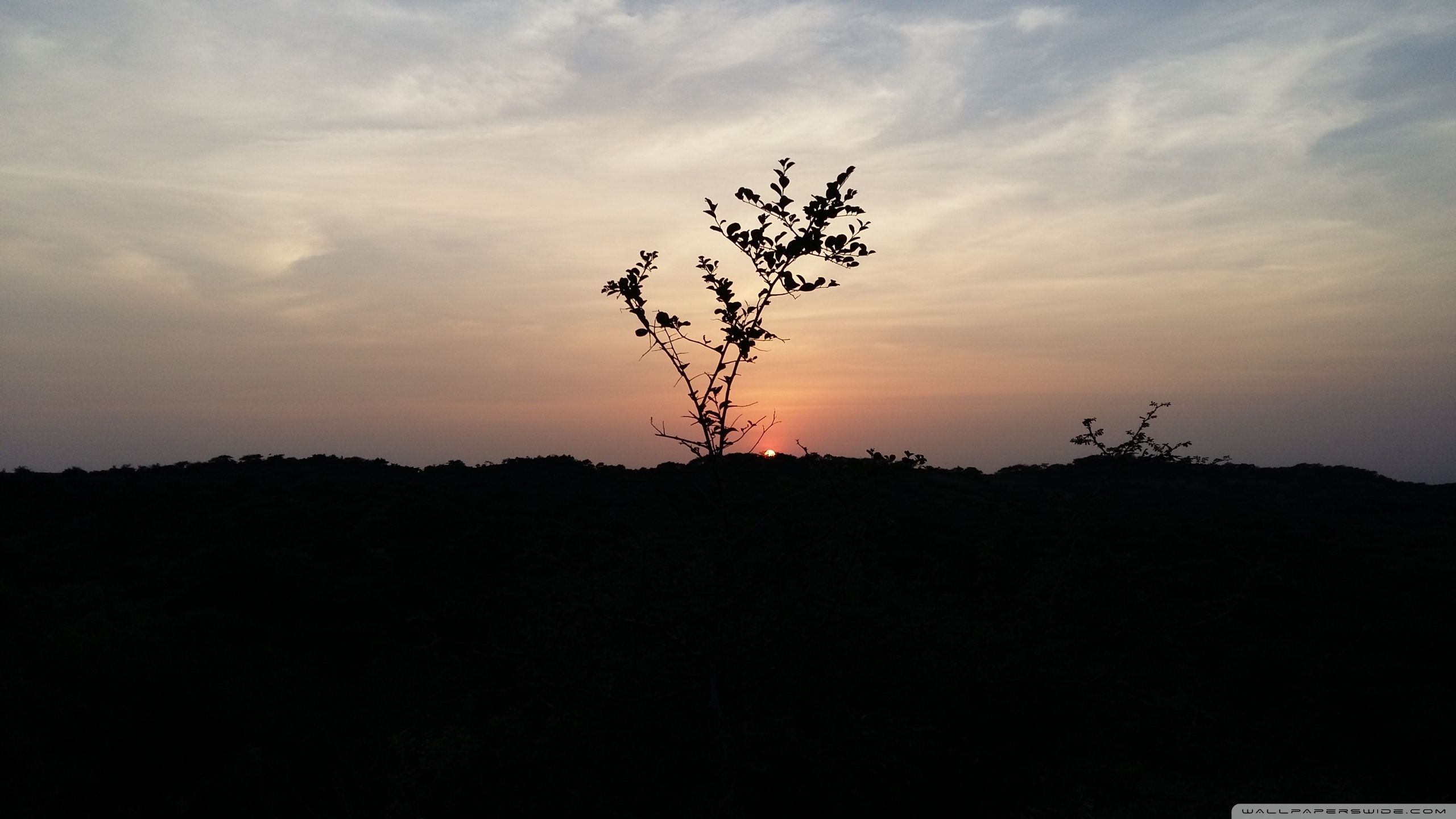 marine gujarat Ultra HD Desktop Background Wallpaper for 4K UHD TV