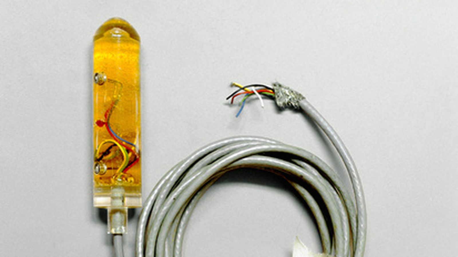 Sex researchers manage to study the most intimate of human