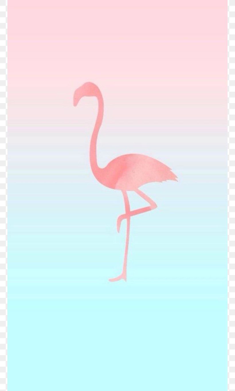 IPhone 6 IPhone 7 Flamingos Desktop Wallpaper, PNG