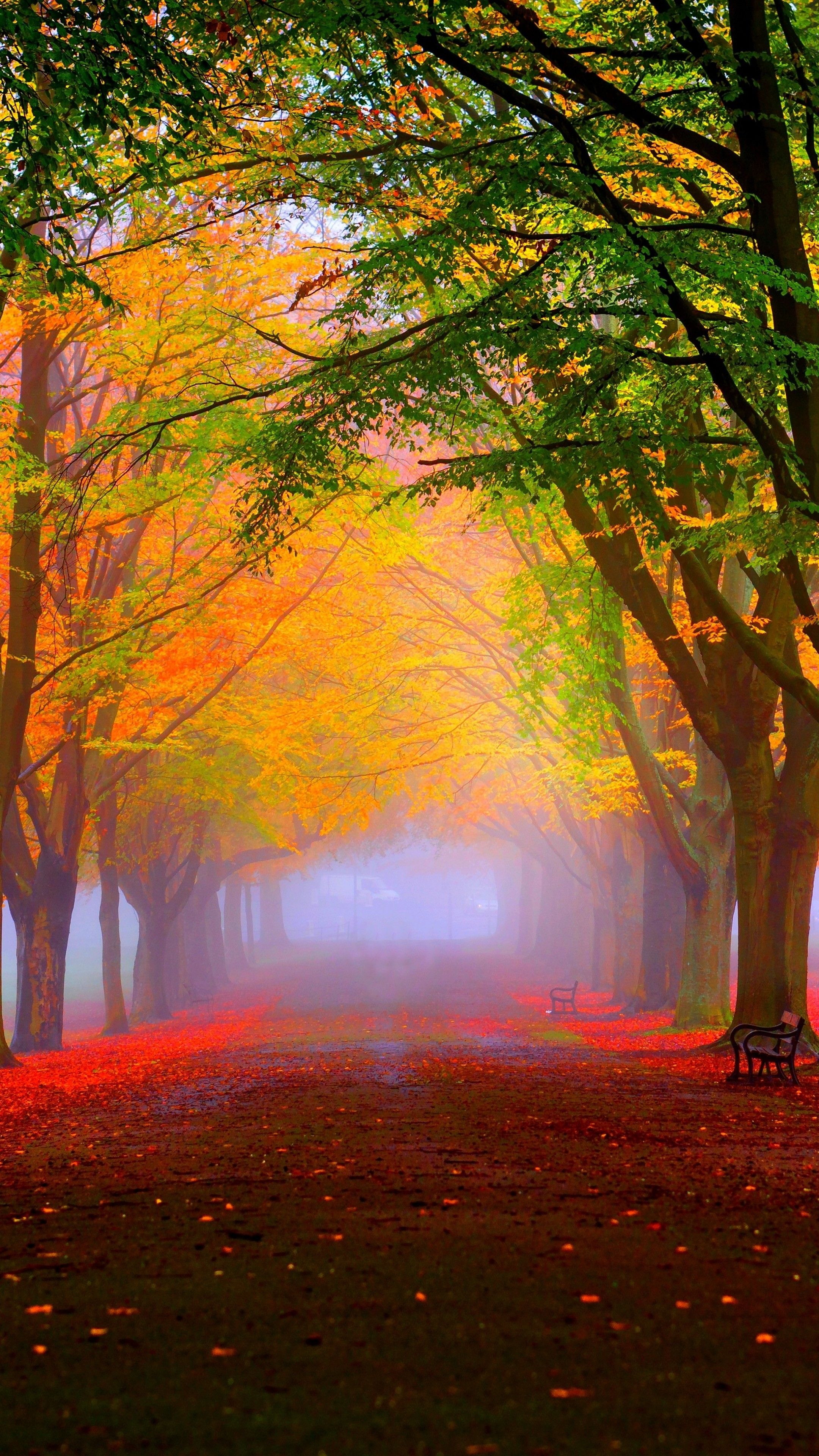 Autumn Portrait Wallpapers - Wallpaper Cave