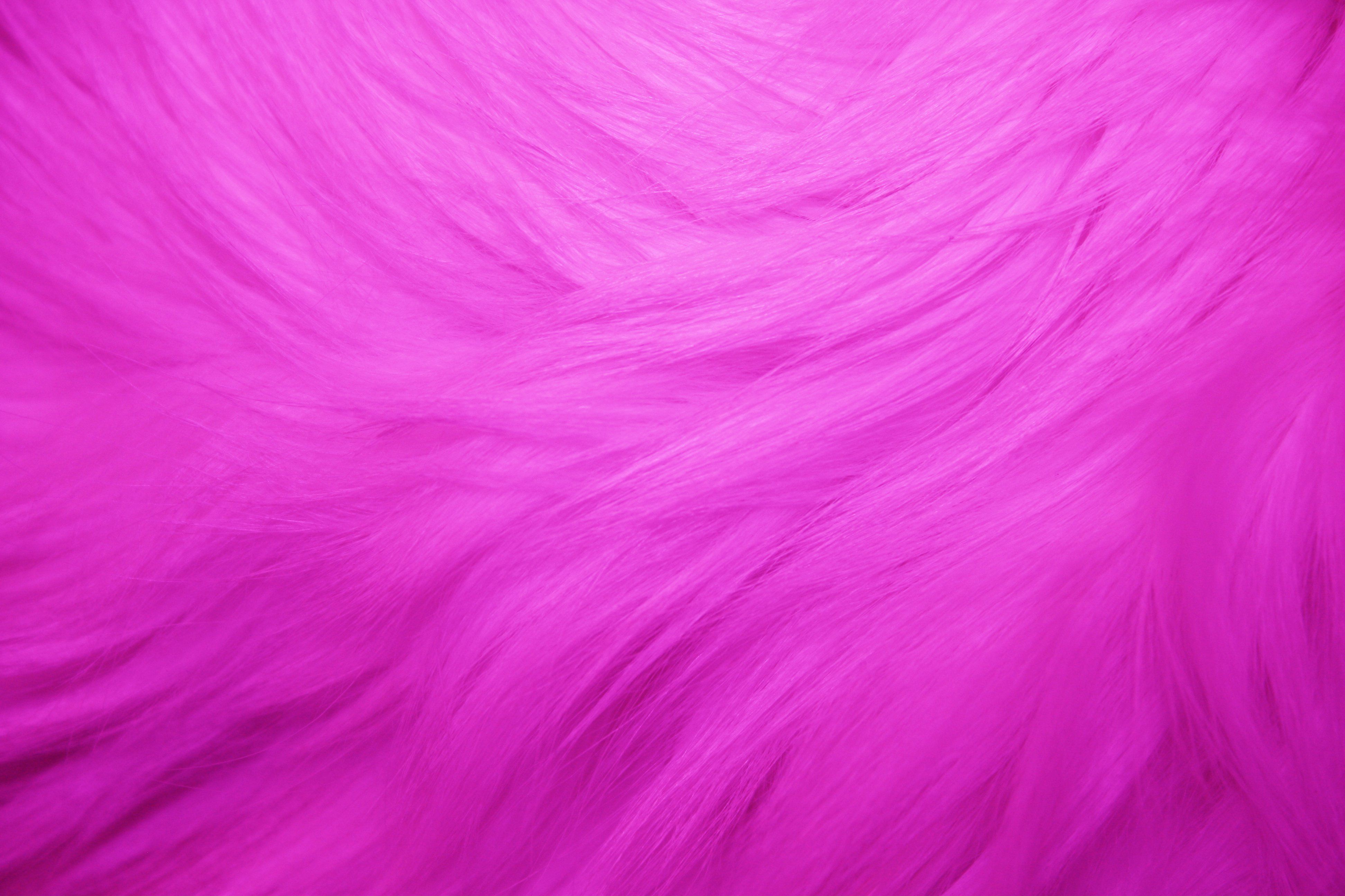 Hot Pink Fur Texture Picture. Free Photograph. Photo Public Domain