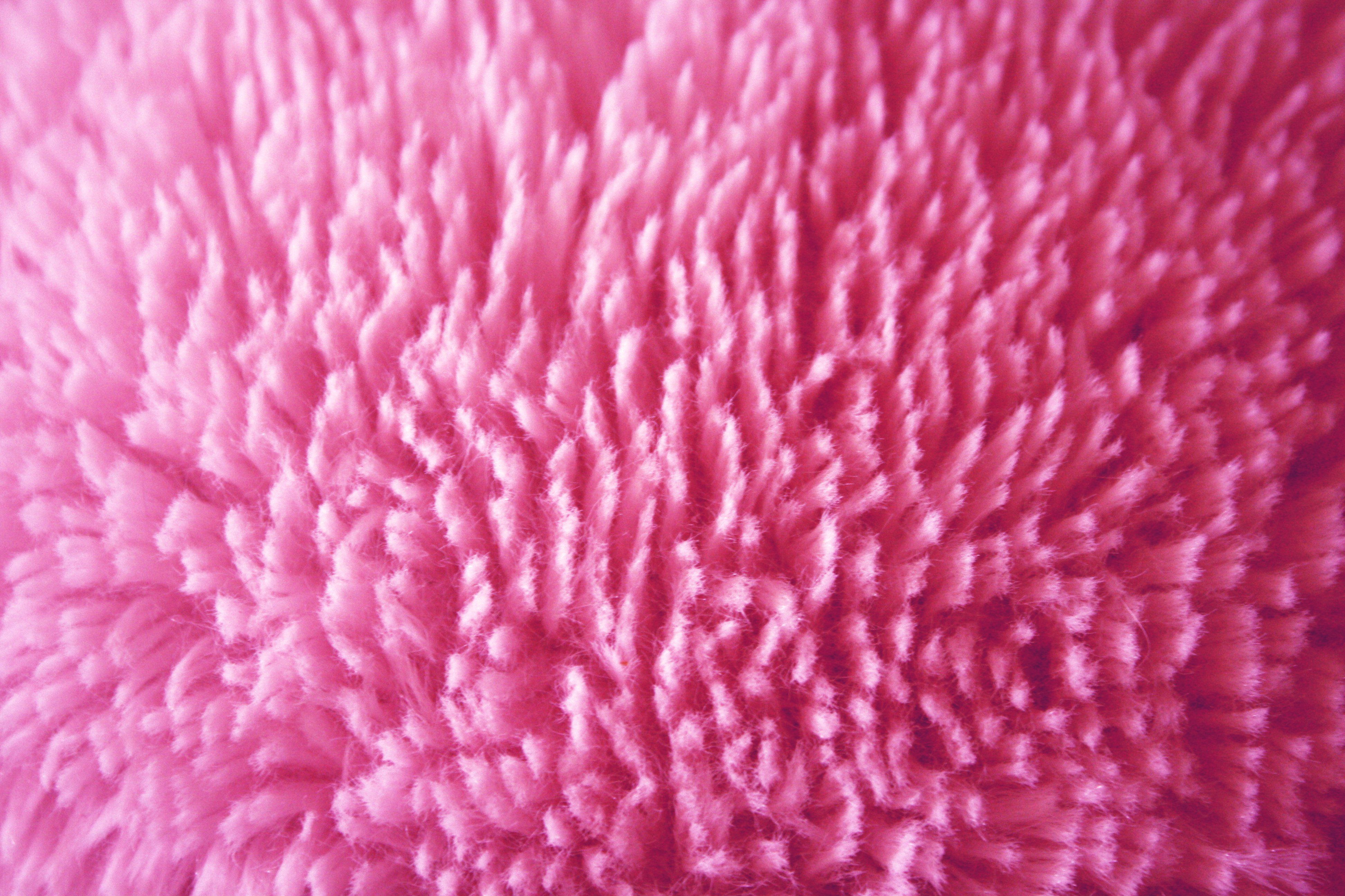 Free download Plush Pink Fabric Texture Picture Photograph Photo