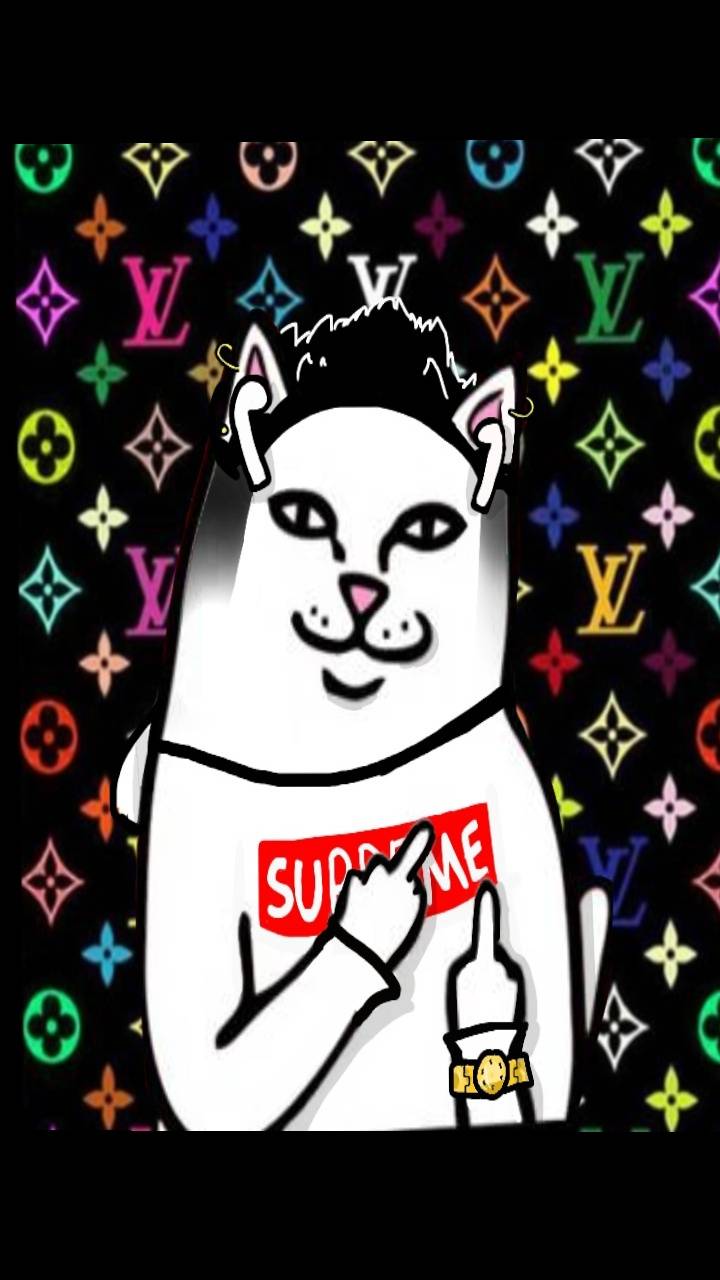 Supreme Cat Wallpapers - Wallpaper Cave