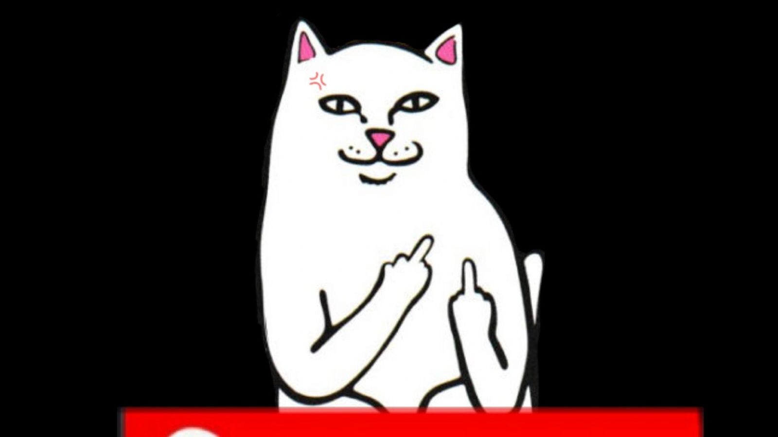 Supreme cat wallpaper by blackyoshi1304  Download on ZEDGE  1c8f