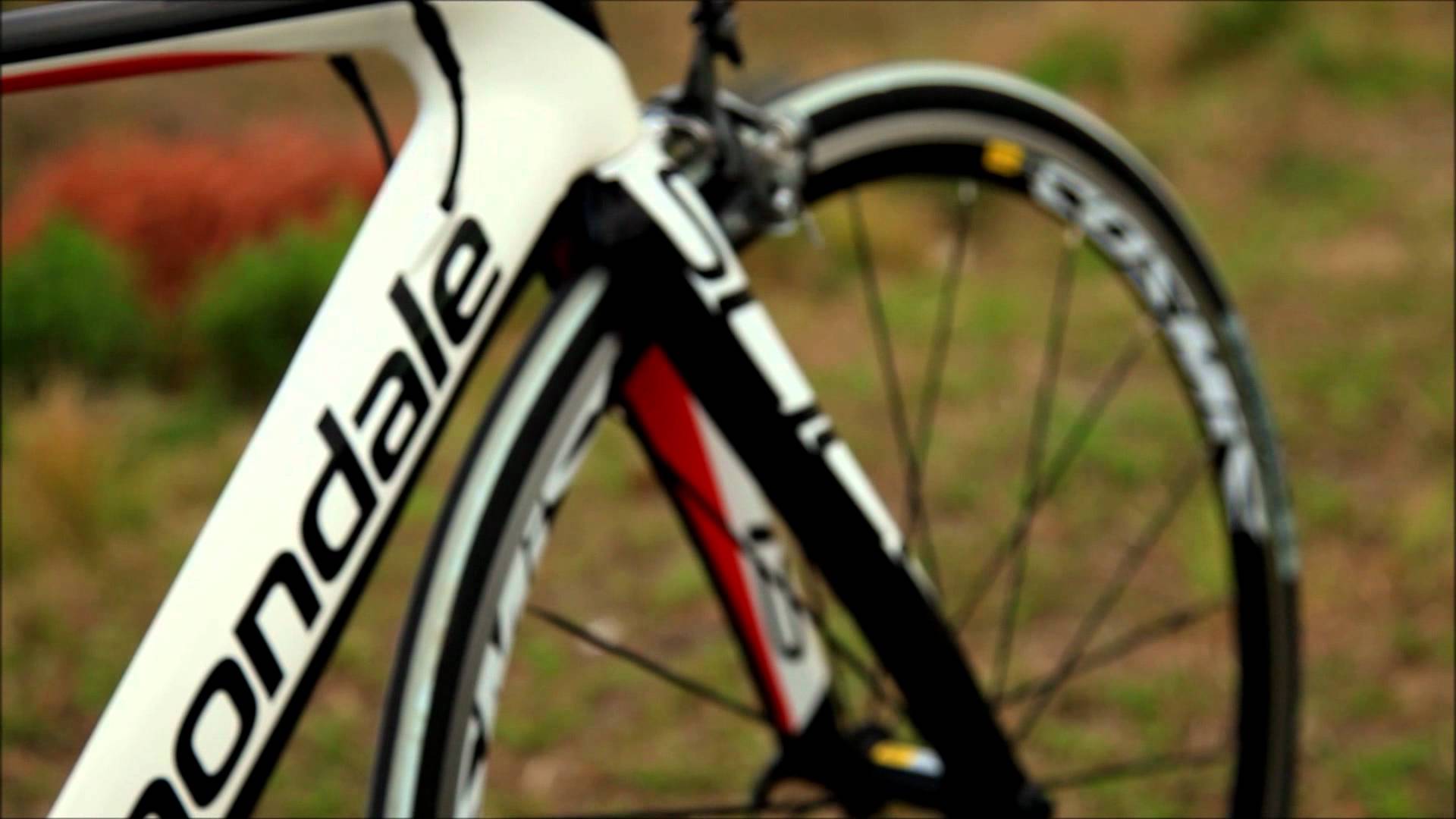 Cannondale Wallpaper