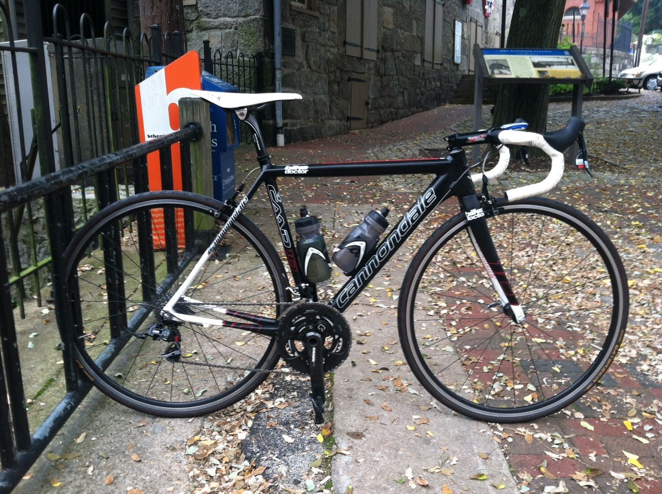 Cannondale Caad10 Track Grn Cute Cat Wallpaper