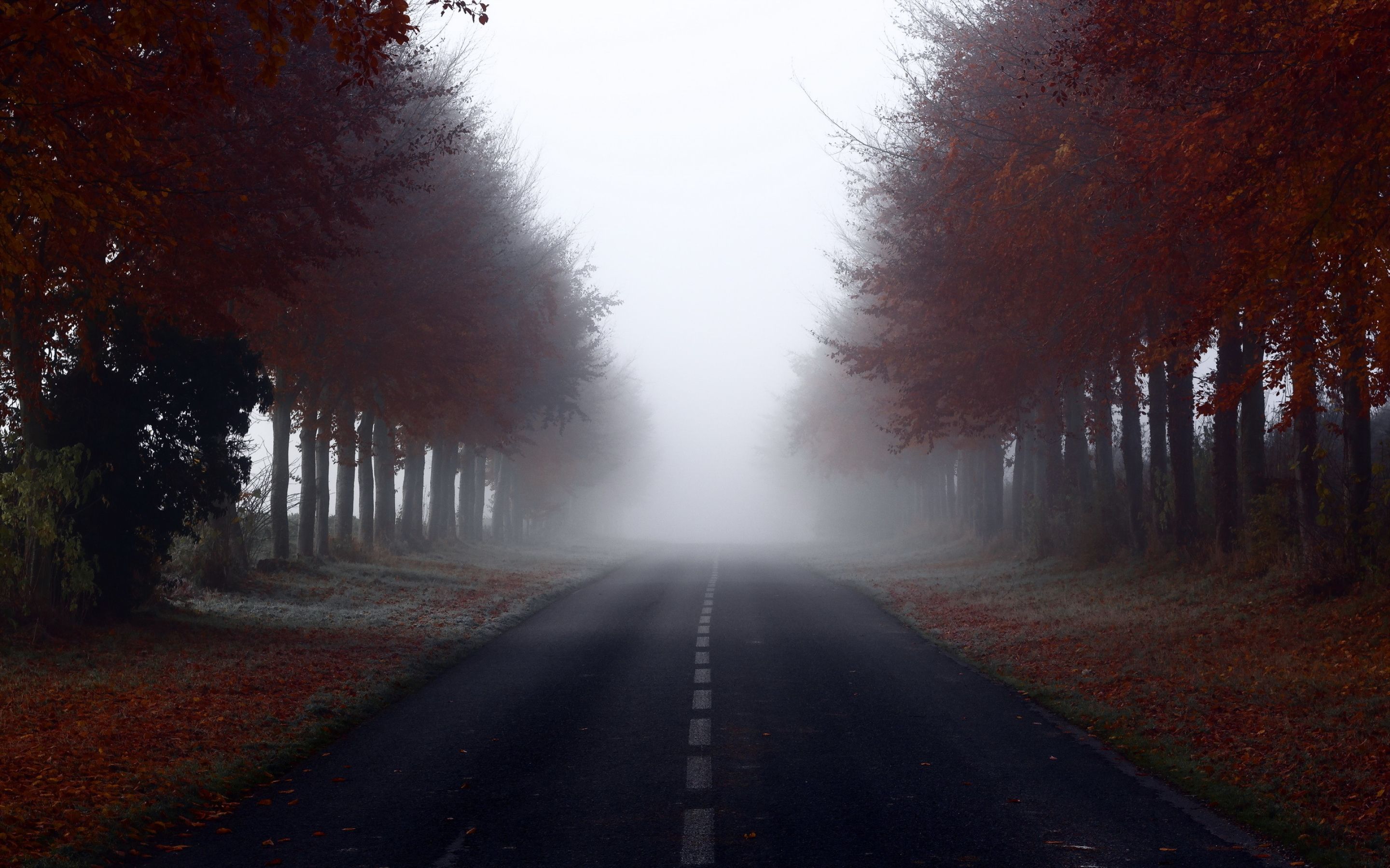road, signs, trees Macbook Pro Retina Wallpaper, HD