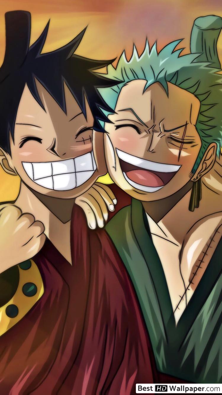 Luffy And Zoro Wallpapers Wallpaper Cave