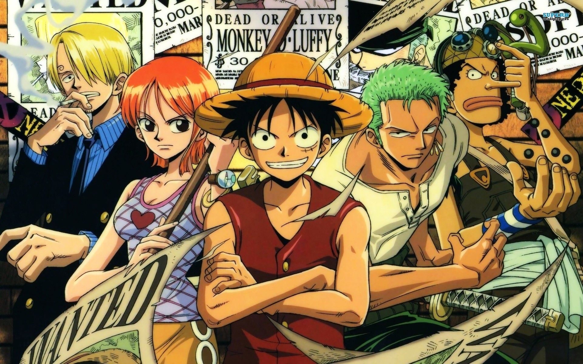 One Piece, Monkey D. Luffy, Nami, Roronoa Zoro, Usopp, Sanji