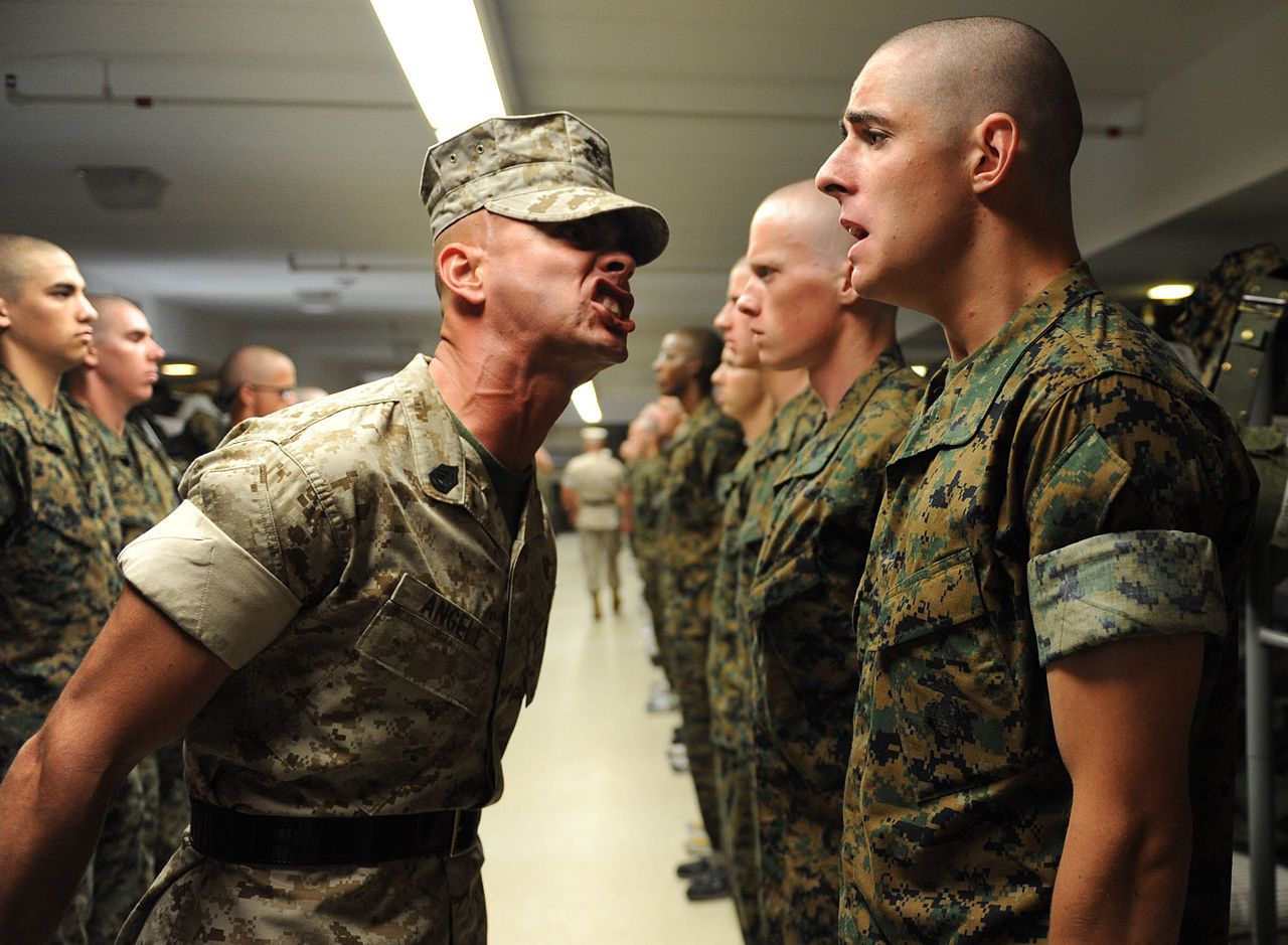 Picture Of Marine Drill Instructors Screaming In People's Faces