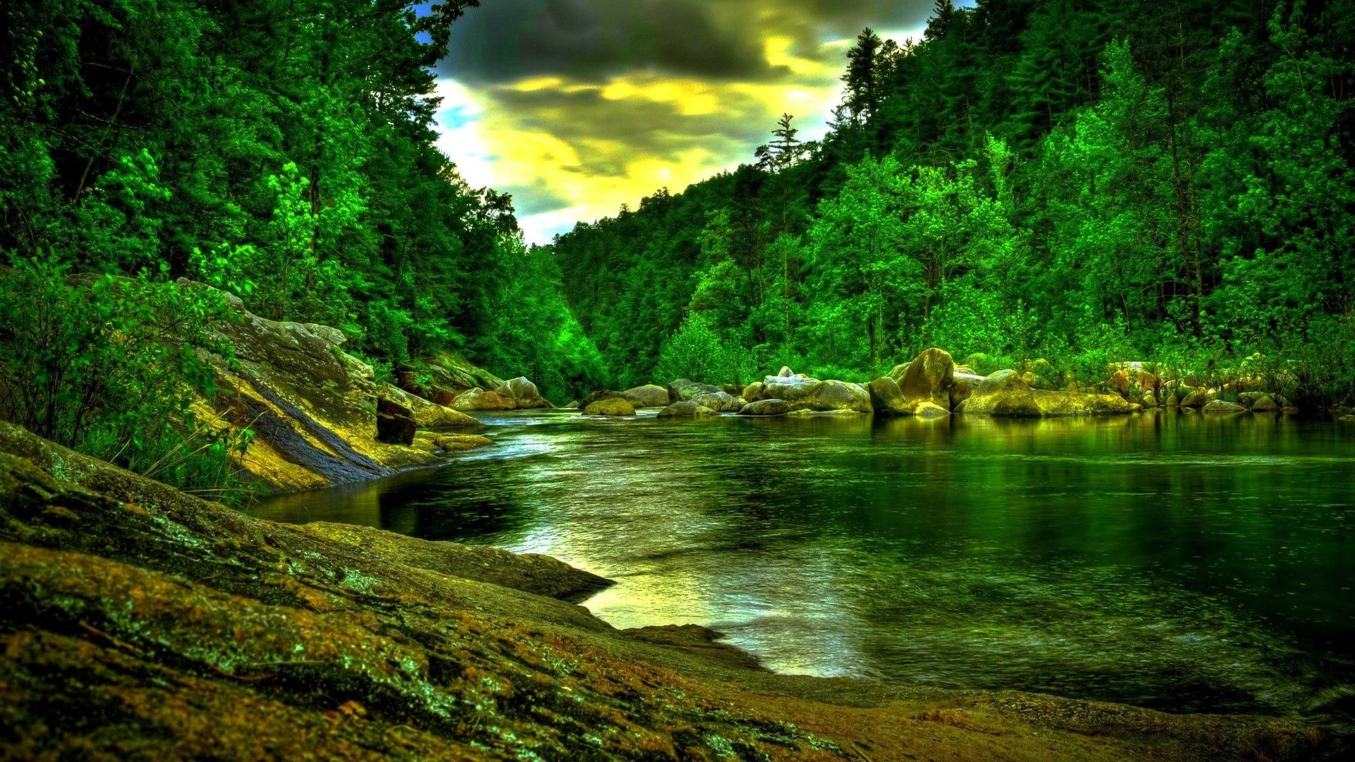 Free download Download Beautiful Green Forest River Wide HD