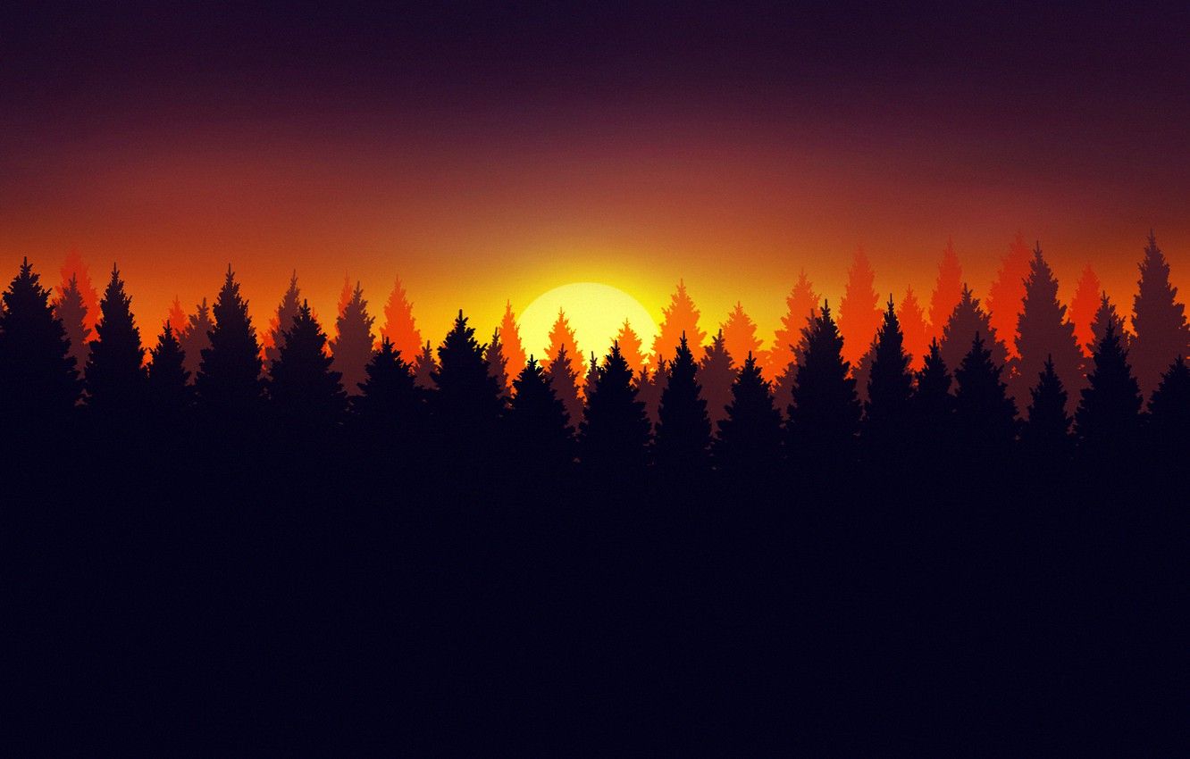 Wallpaper Sunset, The sun, Minimalism, Forest, Star, Style