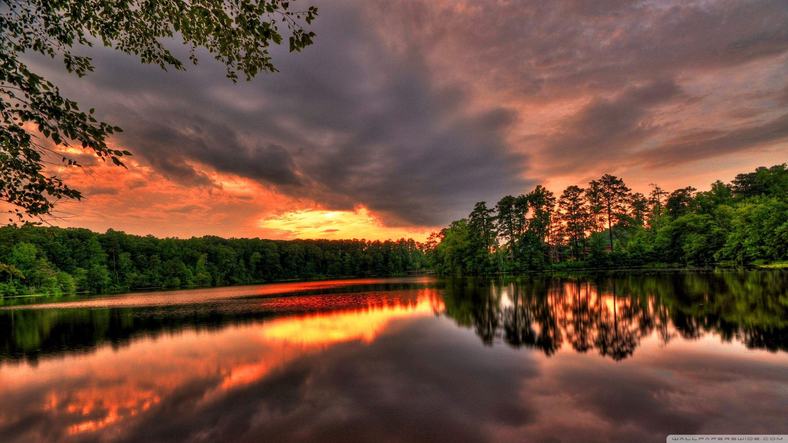 Wallpaper Forest Sunset In River X Samsung Galaxy Tab 2560x1440