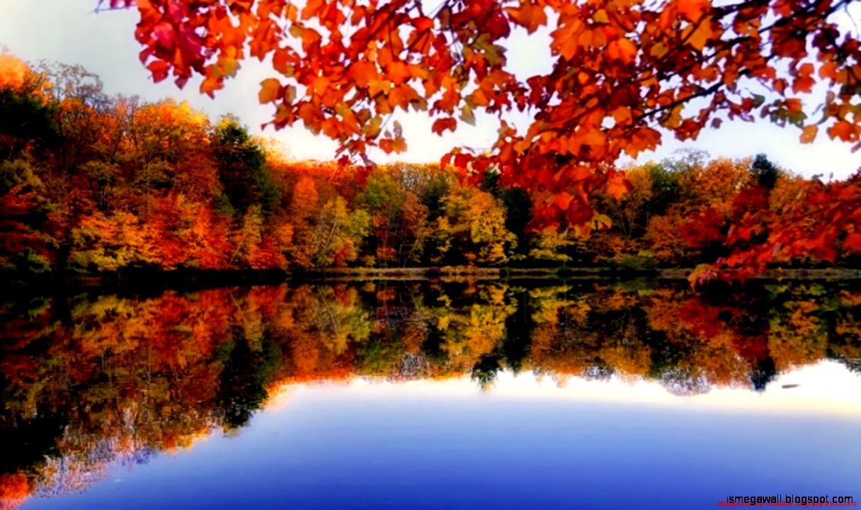 River Side Autumn Forest Desktop Background