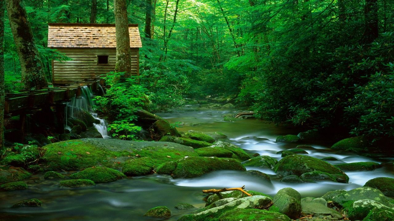 Forest Watermill Wallpaper Rivers Nature Wallpaper in jpg format