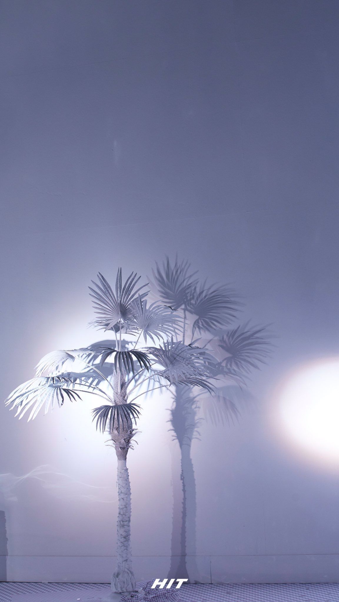 SEVENTEEN Tweeted These Special Picture And They Became