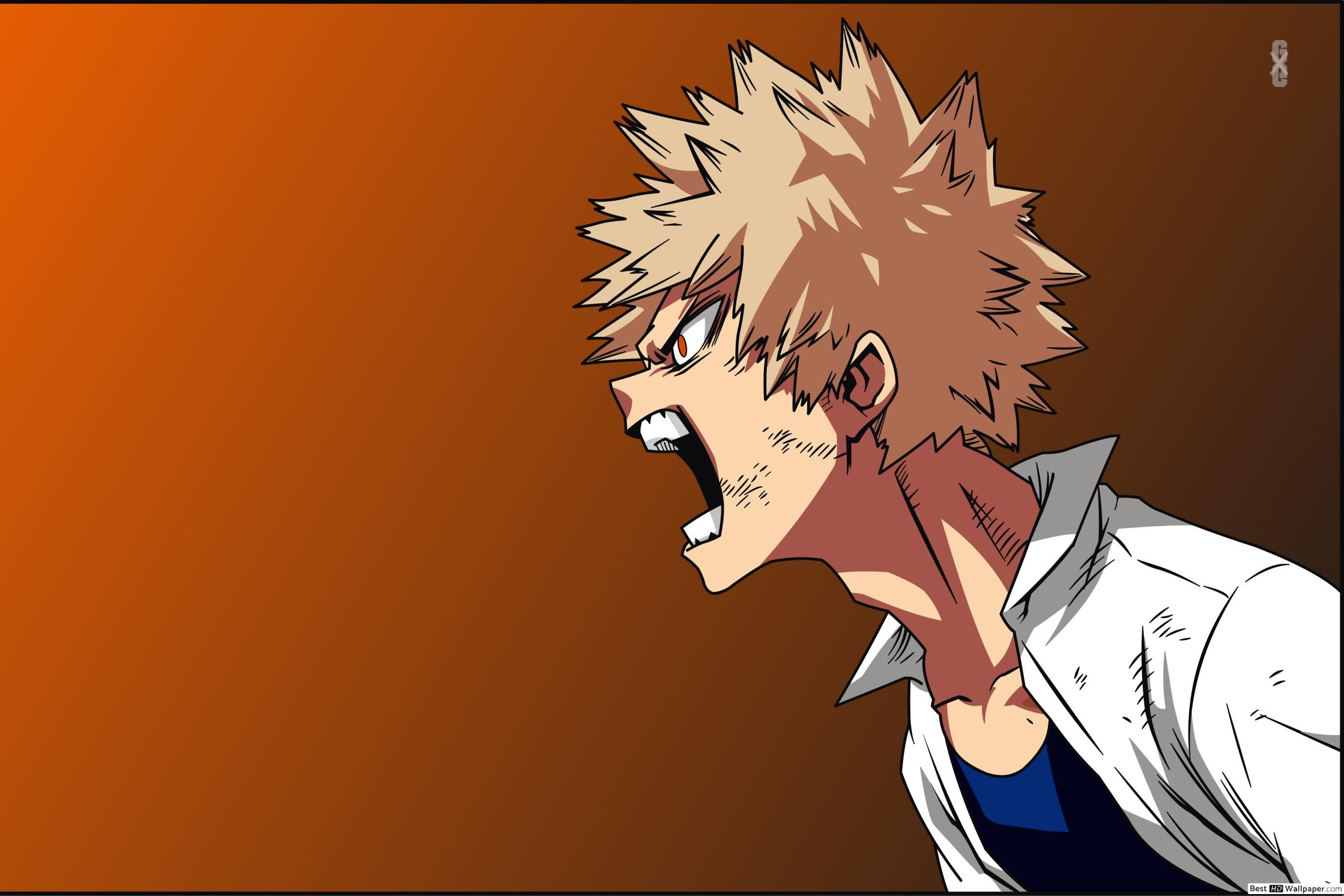 My Hero Academia Hawks Wallpapers posted by Sarah Simpson