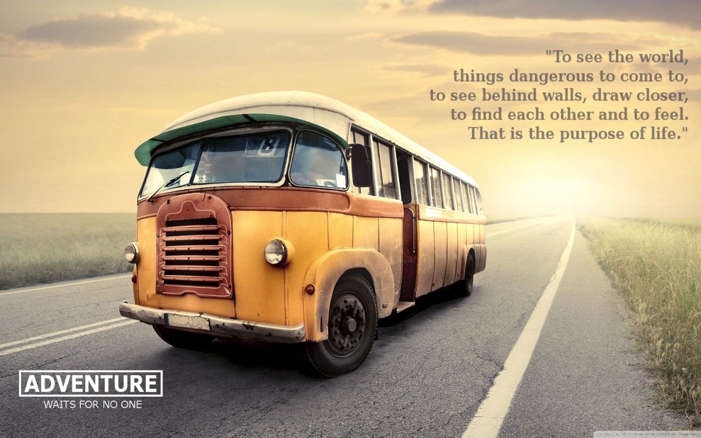 Walter Mitty Ultra HD Desktop Background Wallpaper for 4K UHD TV