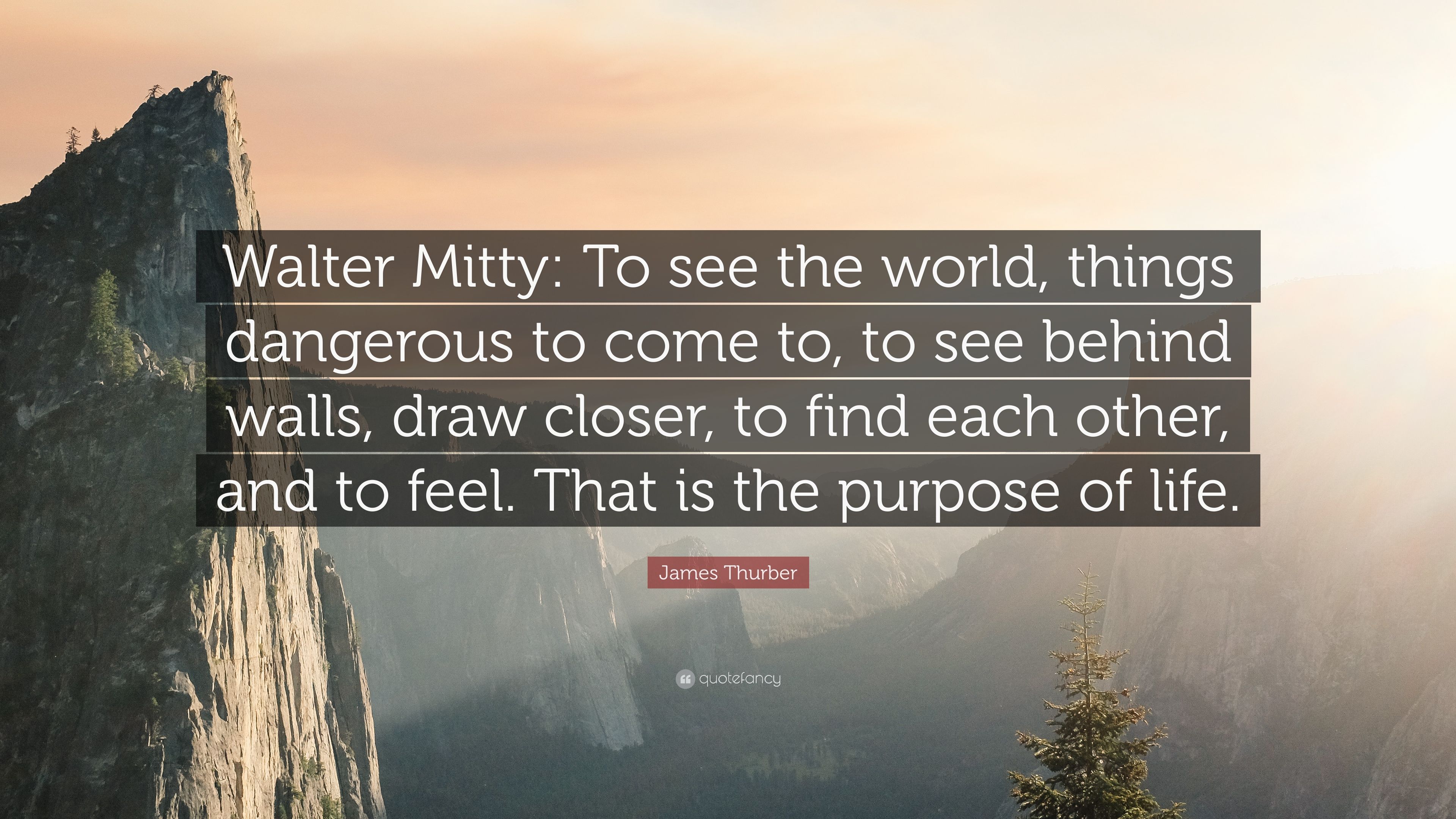 James Thurber Quote: “Walter Mitty: To see the world, things